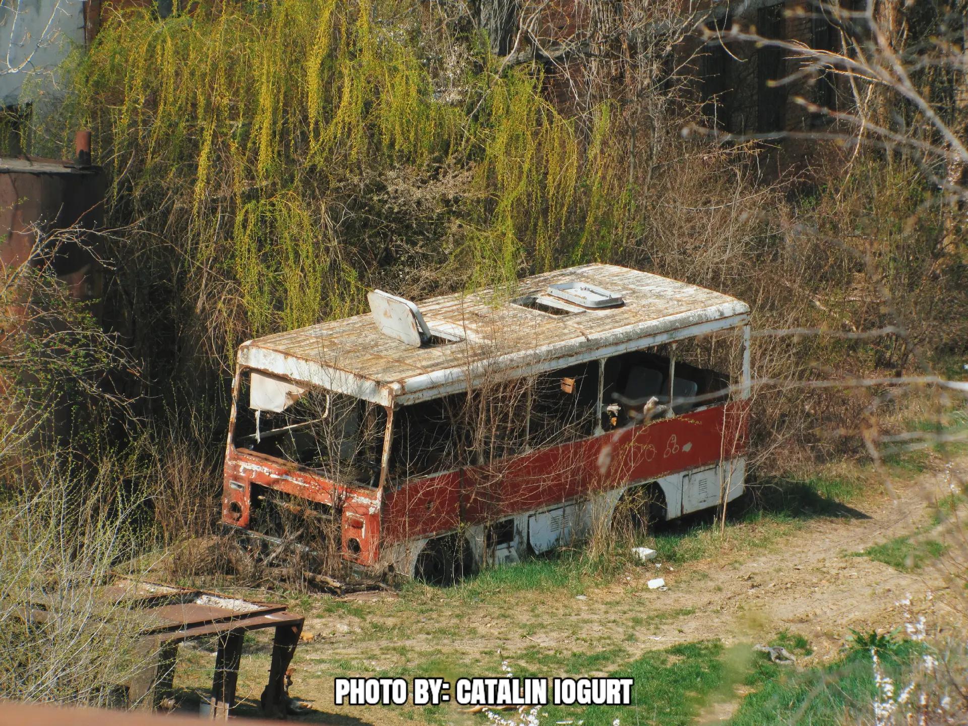 @Cătălin