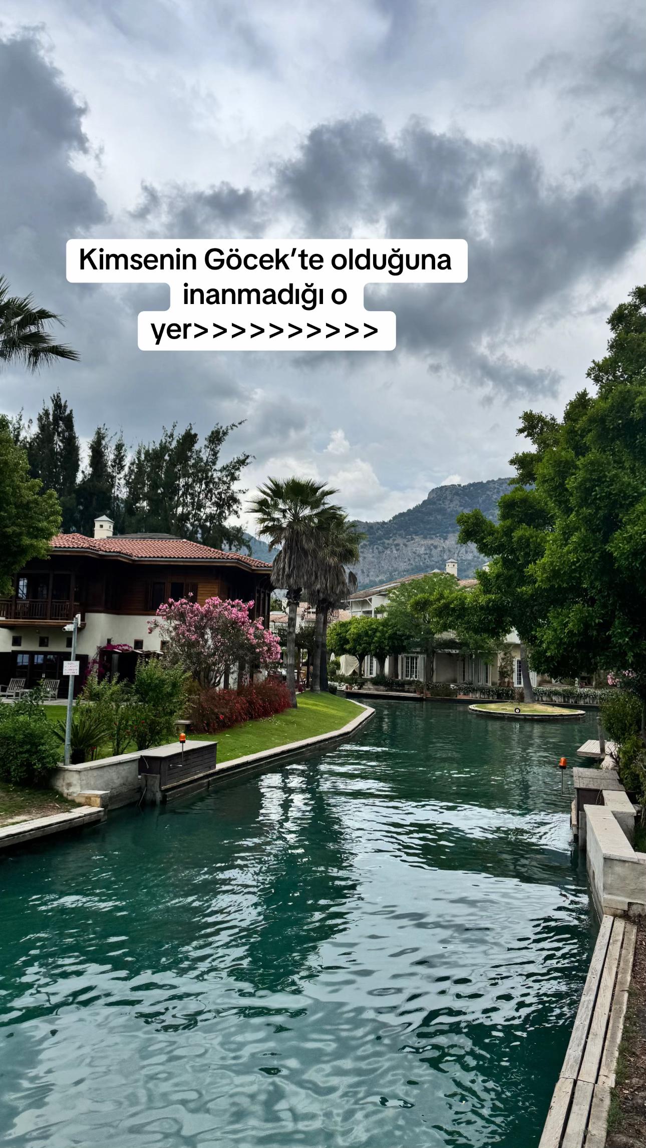 @ozgurdalcik
