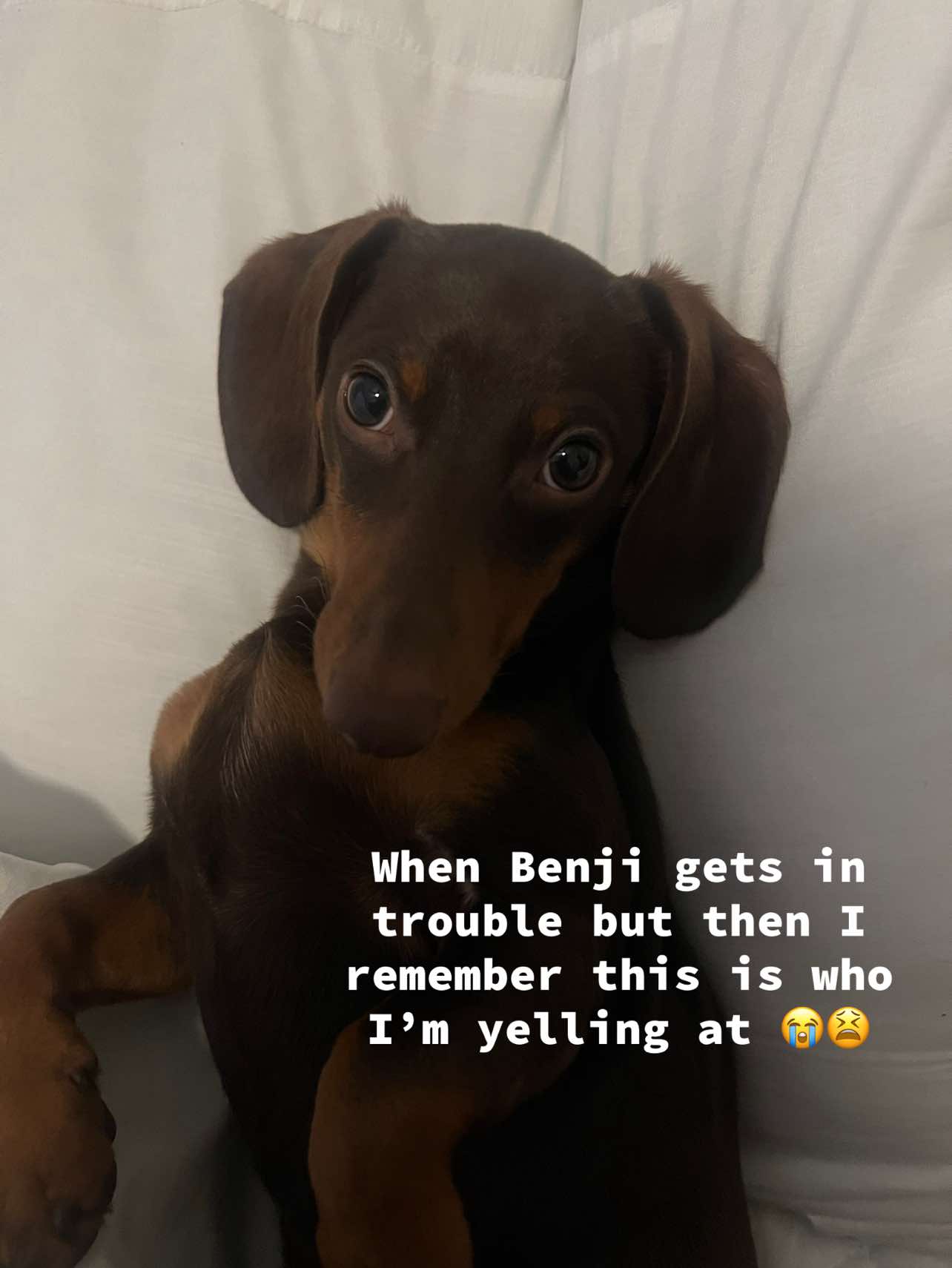 @bookwithstina