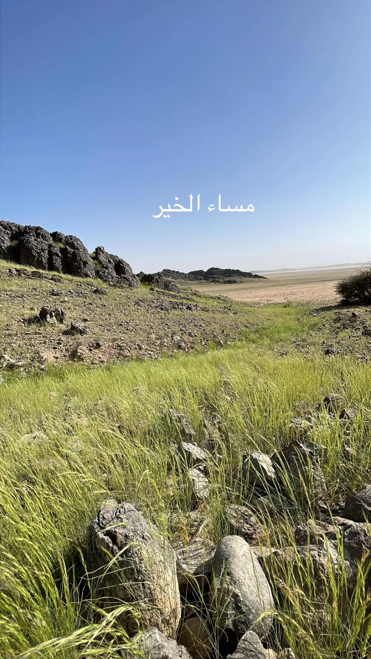 @(﮼صمت ﮼الجرو ح﮼)