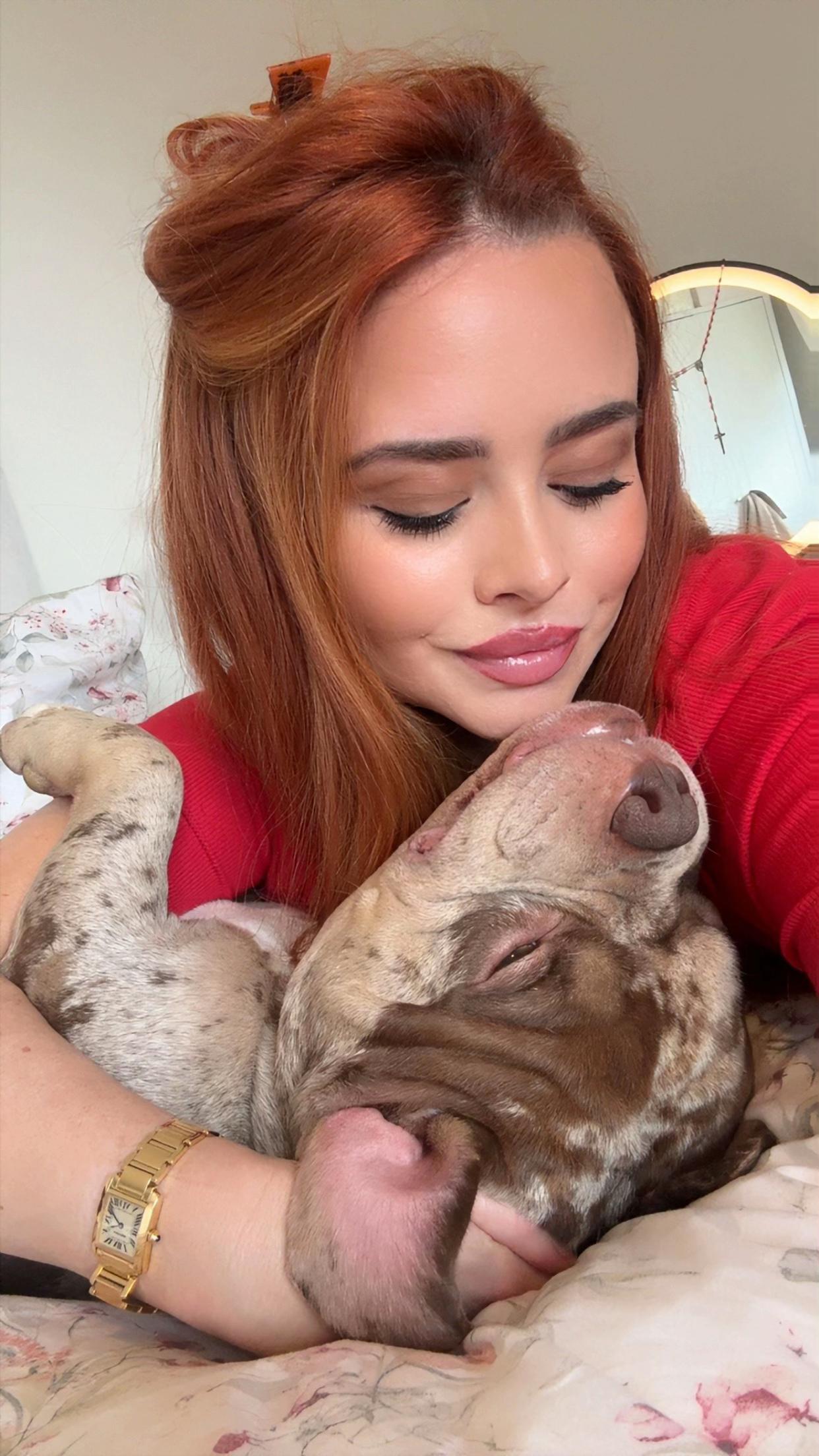@pablothelittlebullydog