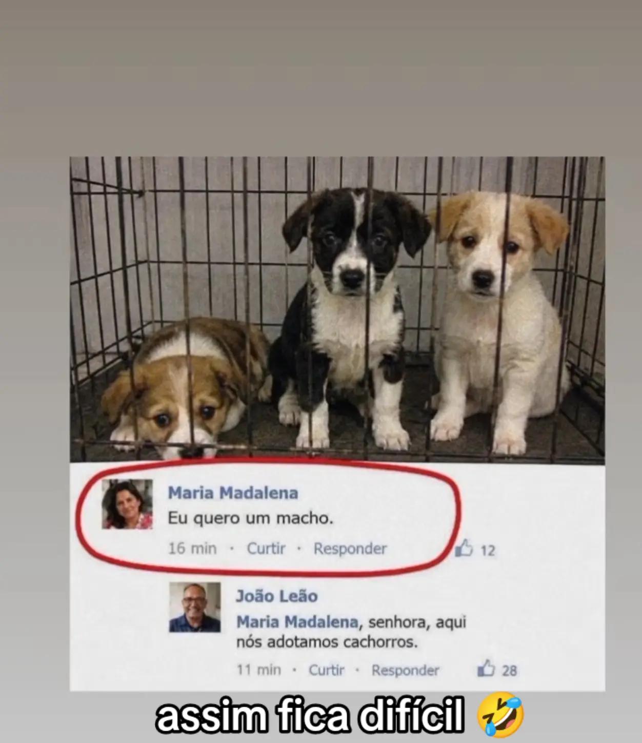 @vandosilva1839
