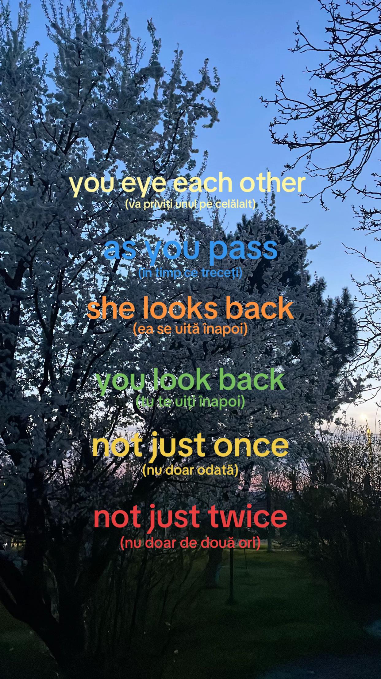@🖤