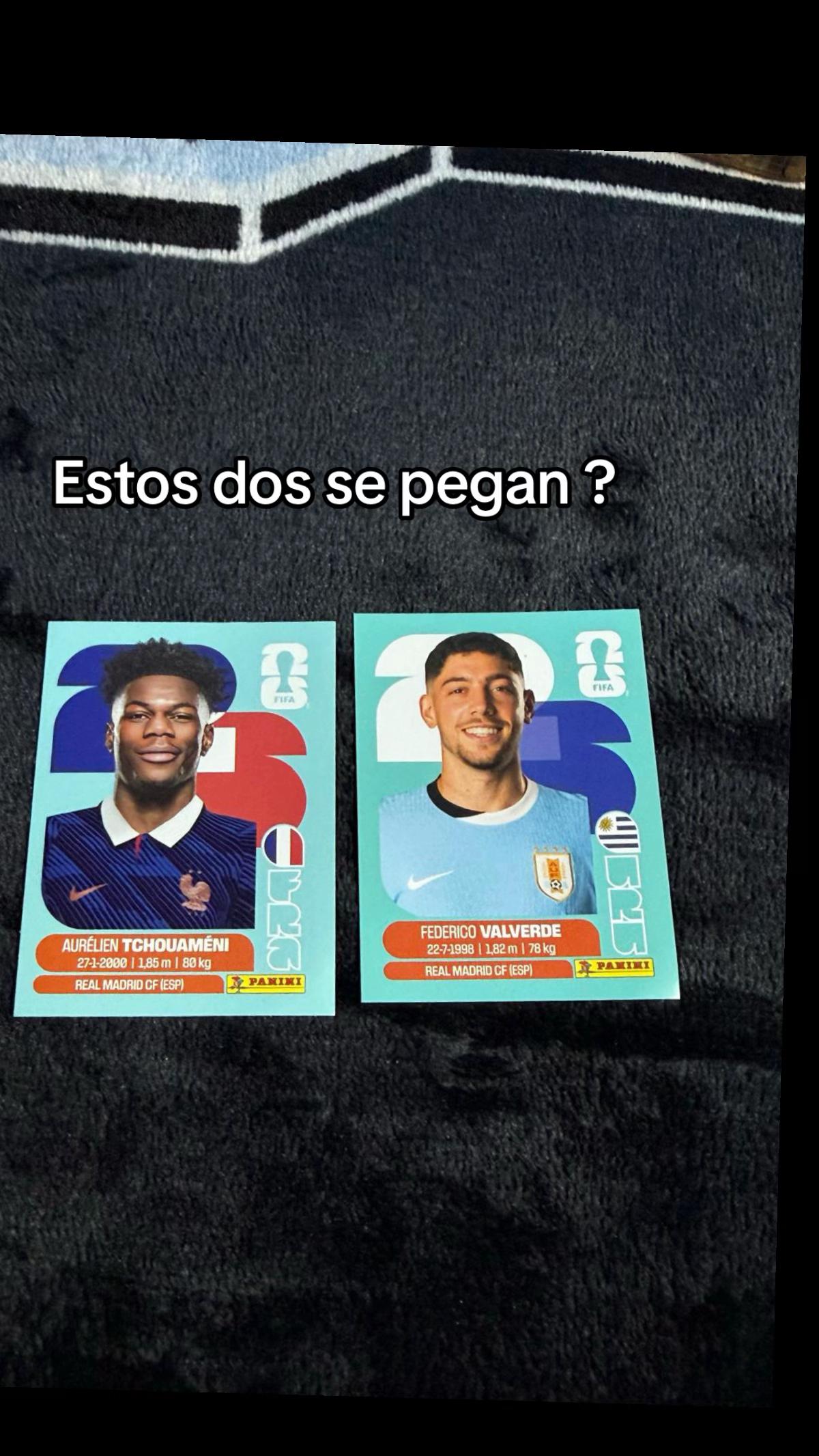 @Oliva_fn