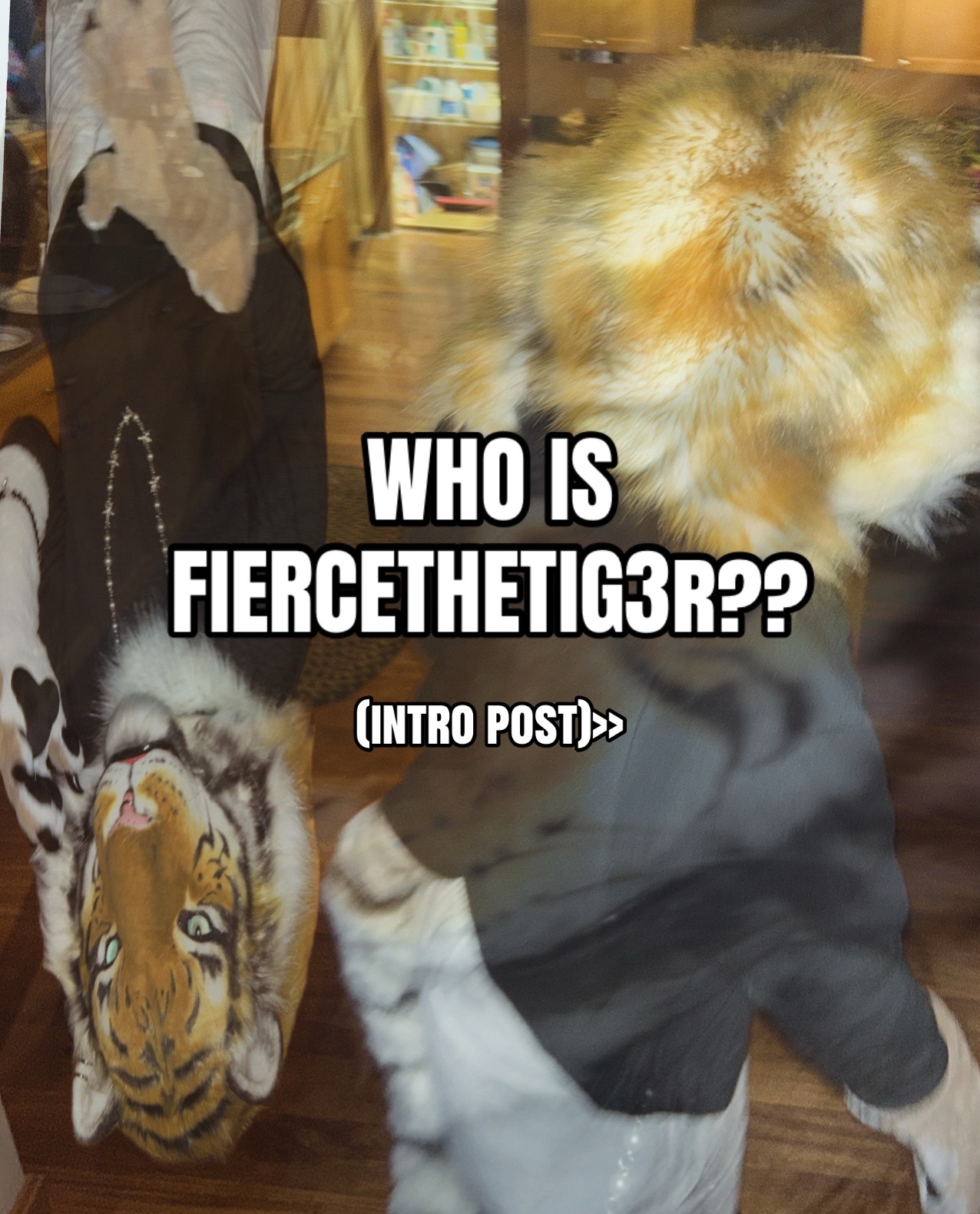 @fierce the tiger