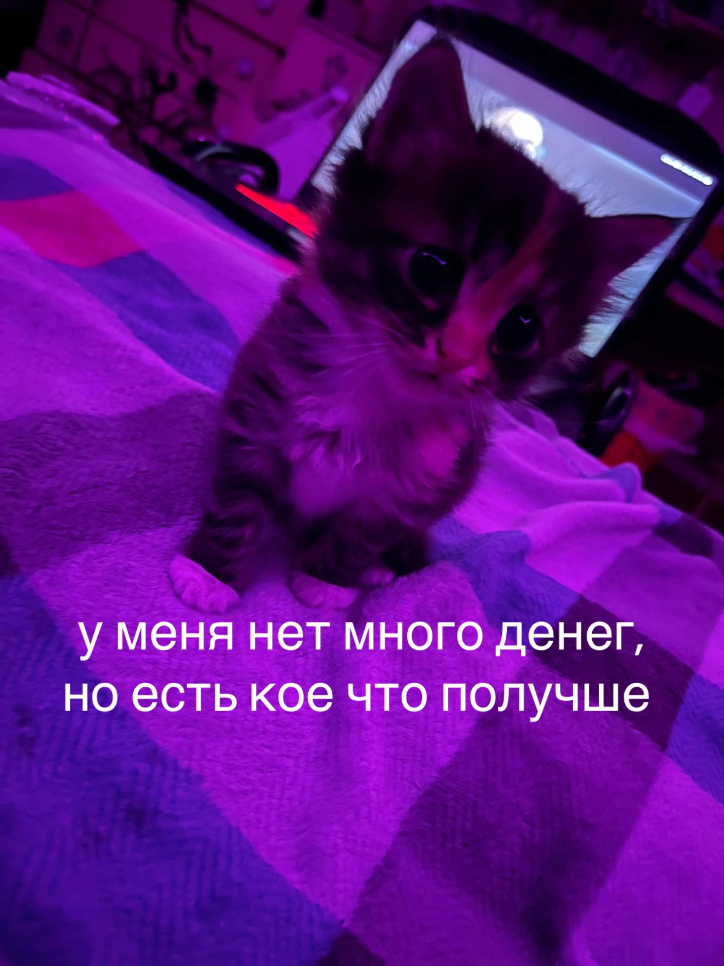 @..