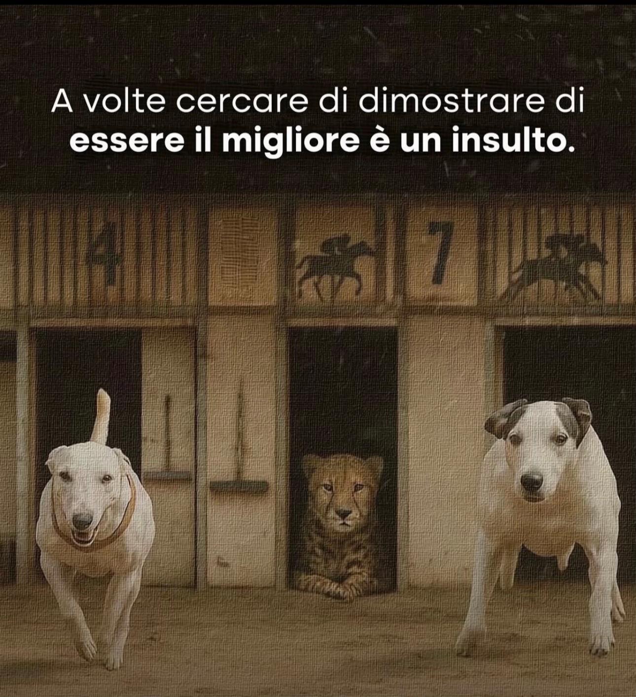 @Valeria Musco