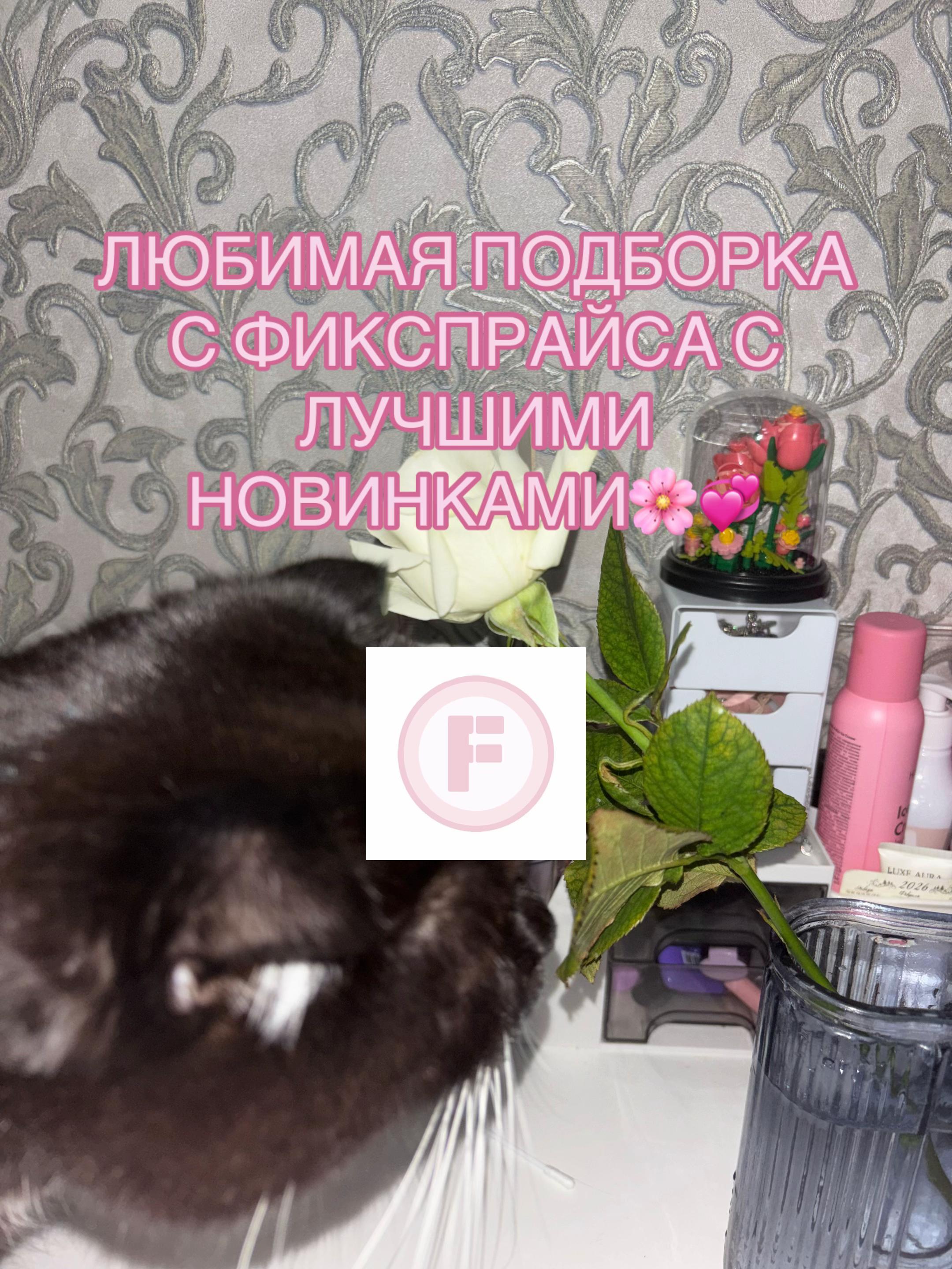 @🤍🫧ʍᥲну᧘ь🐾☁️
