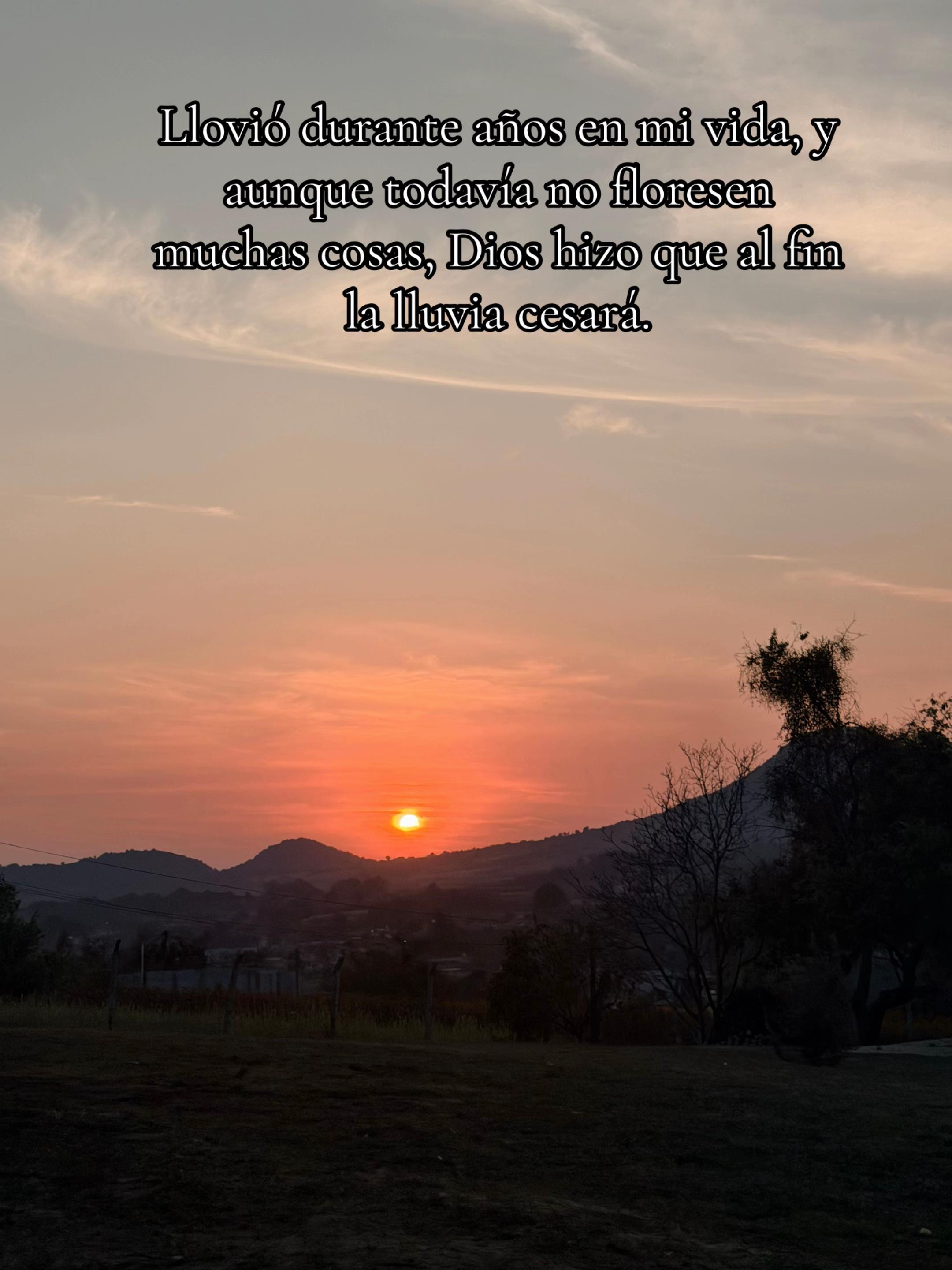 @🌷Diiana Angeles🌷