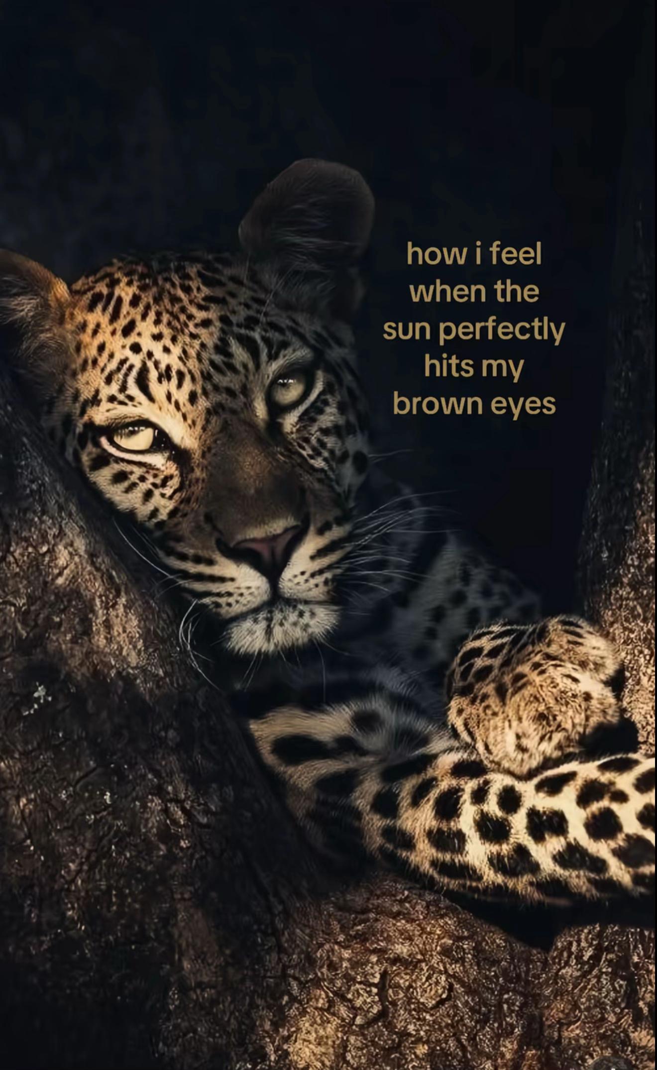 @ℒ