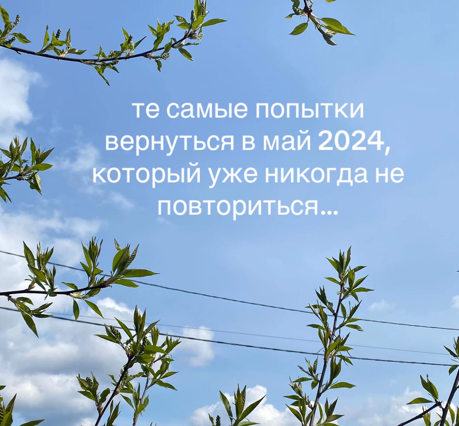 @тгк:Порисульки di-diduli