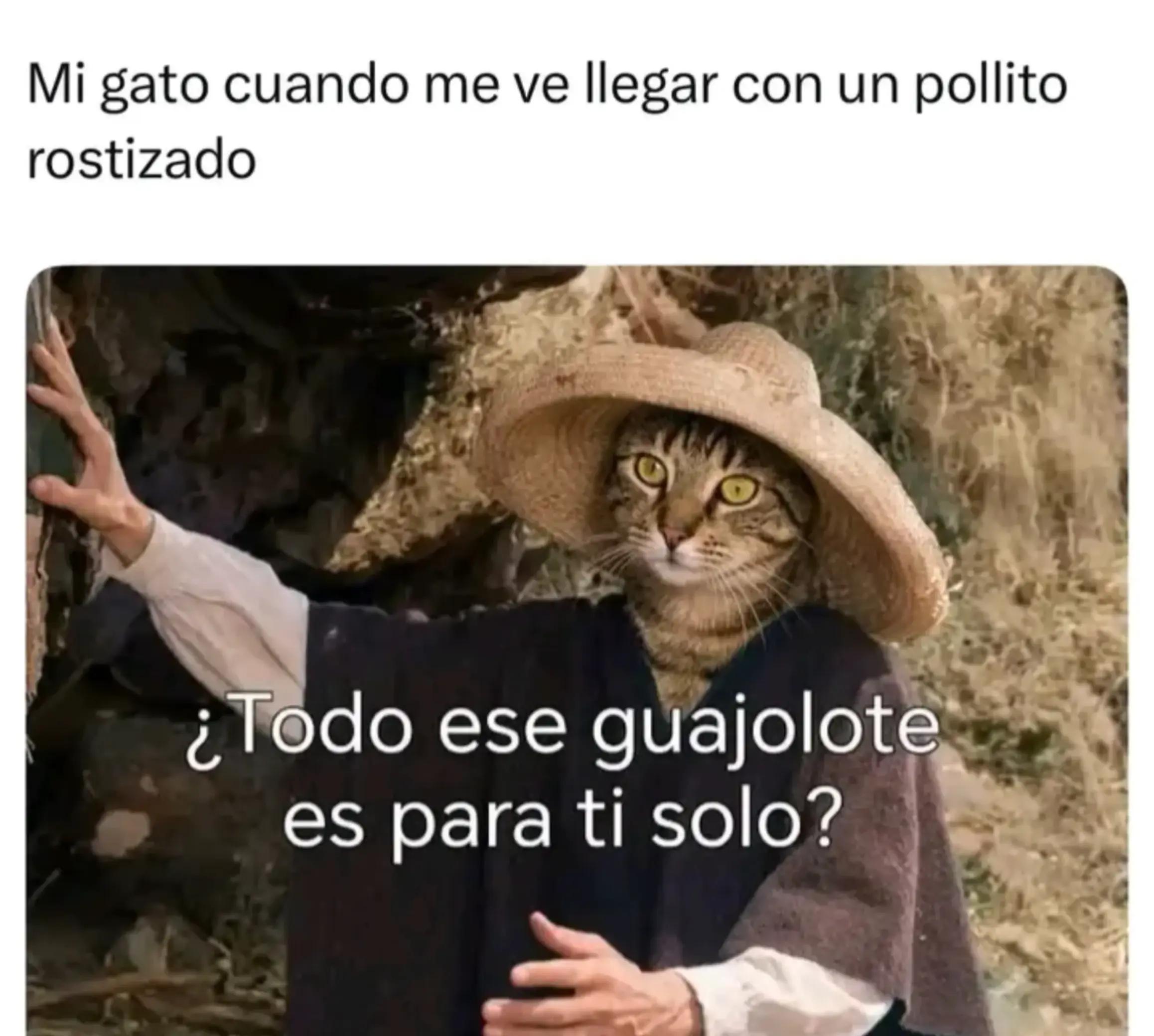 @Pandajadas!