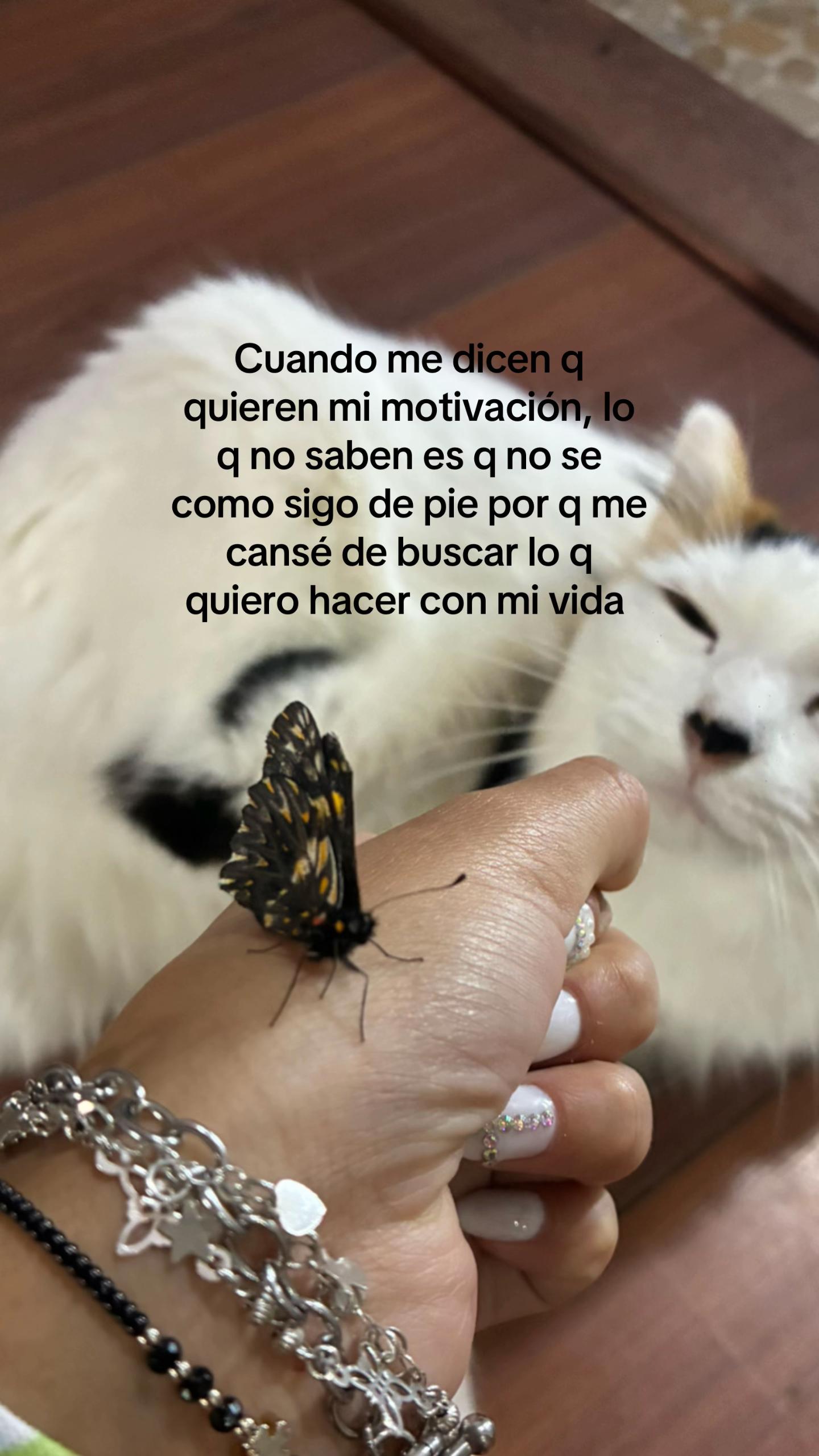 @๐
