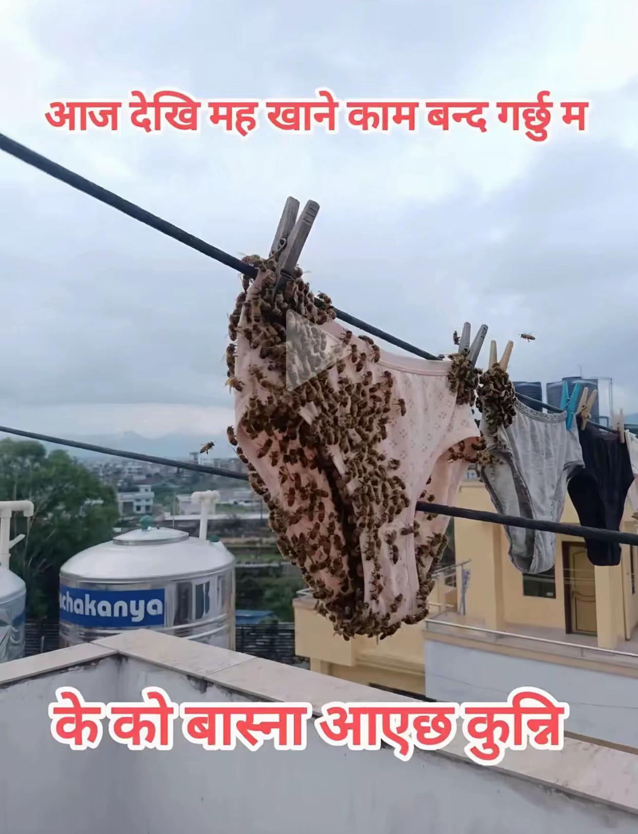 @बु काला 🦢