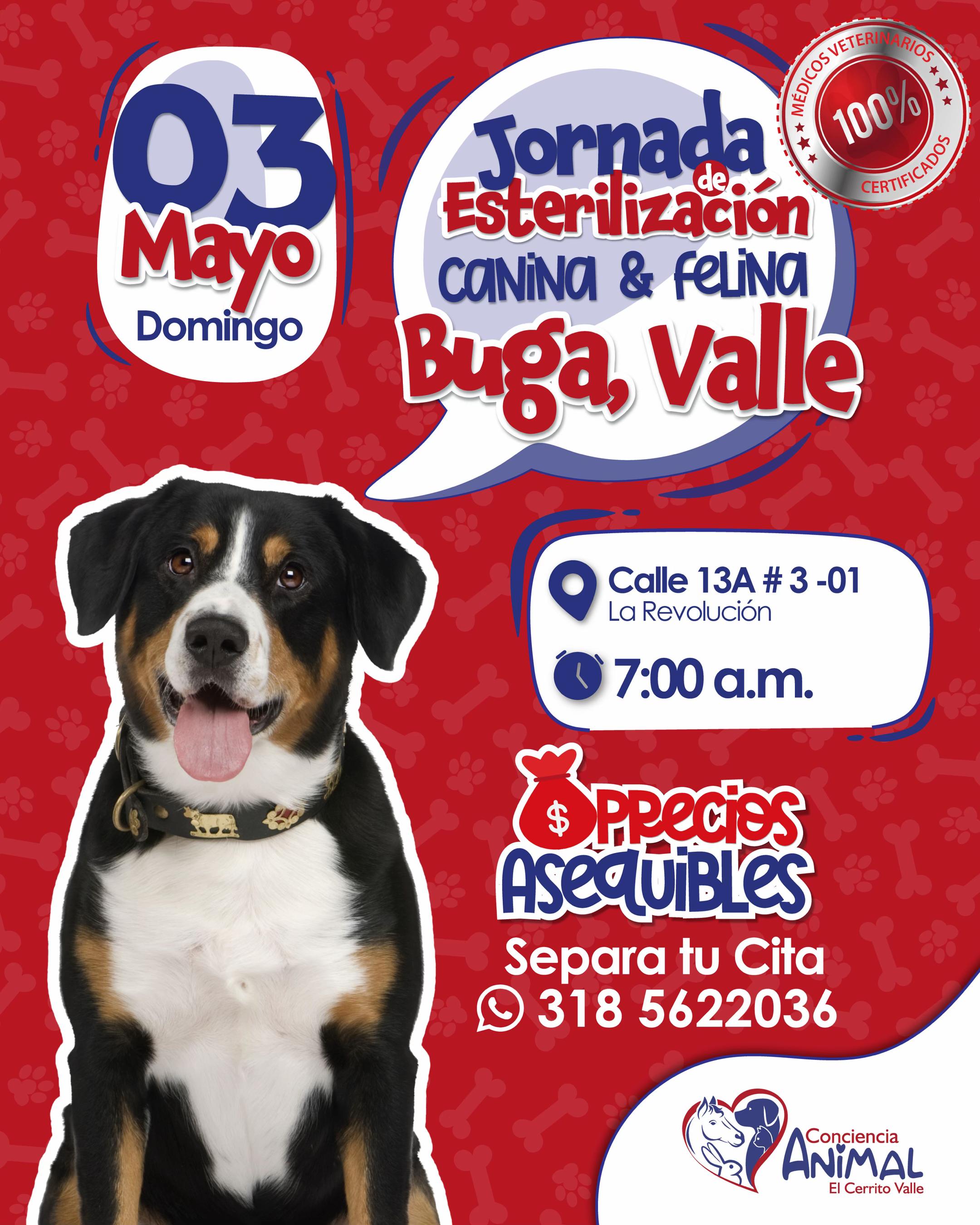 @Conciencia Animal El Cerrito