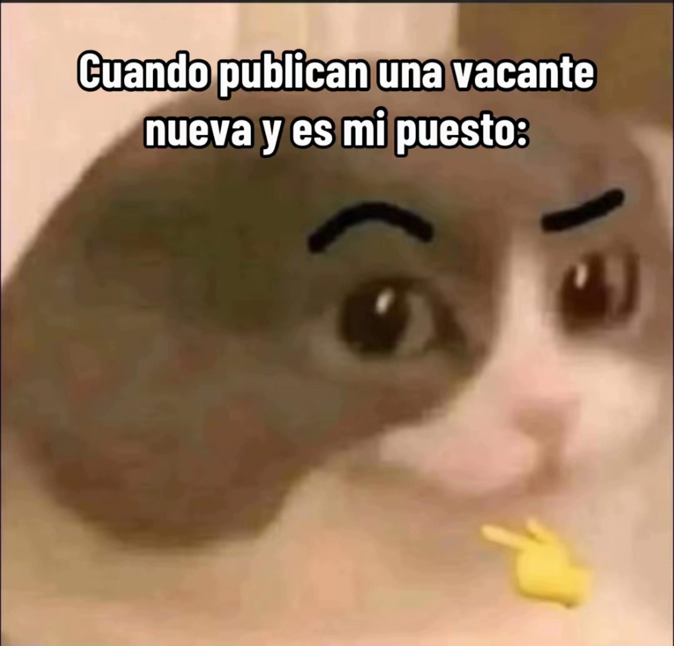 @Juno
