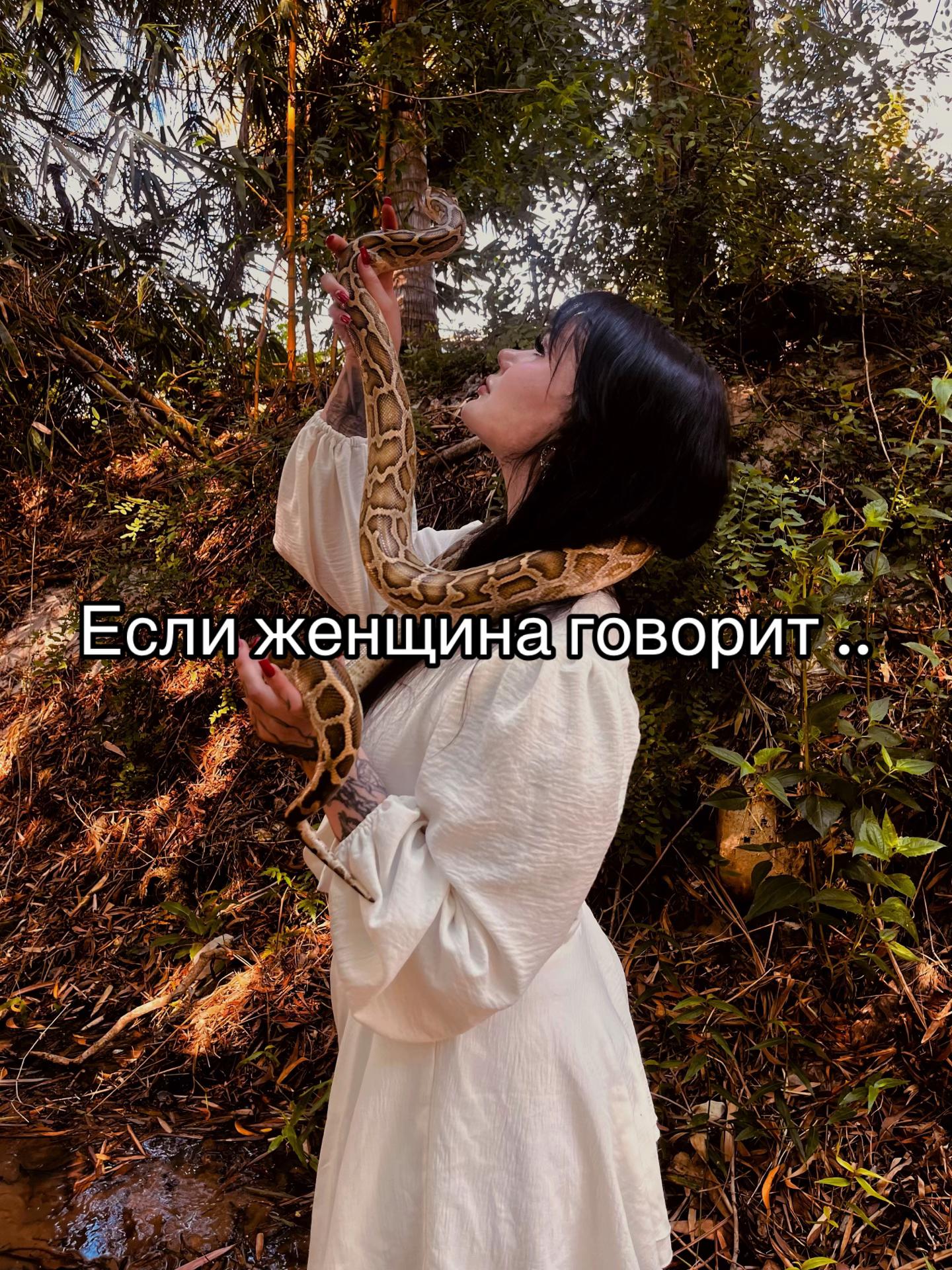 @Тгк: Таета представляет