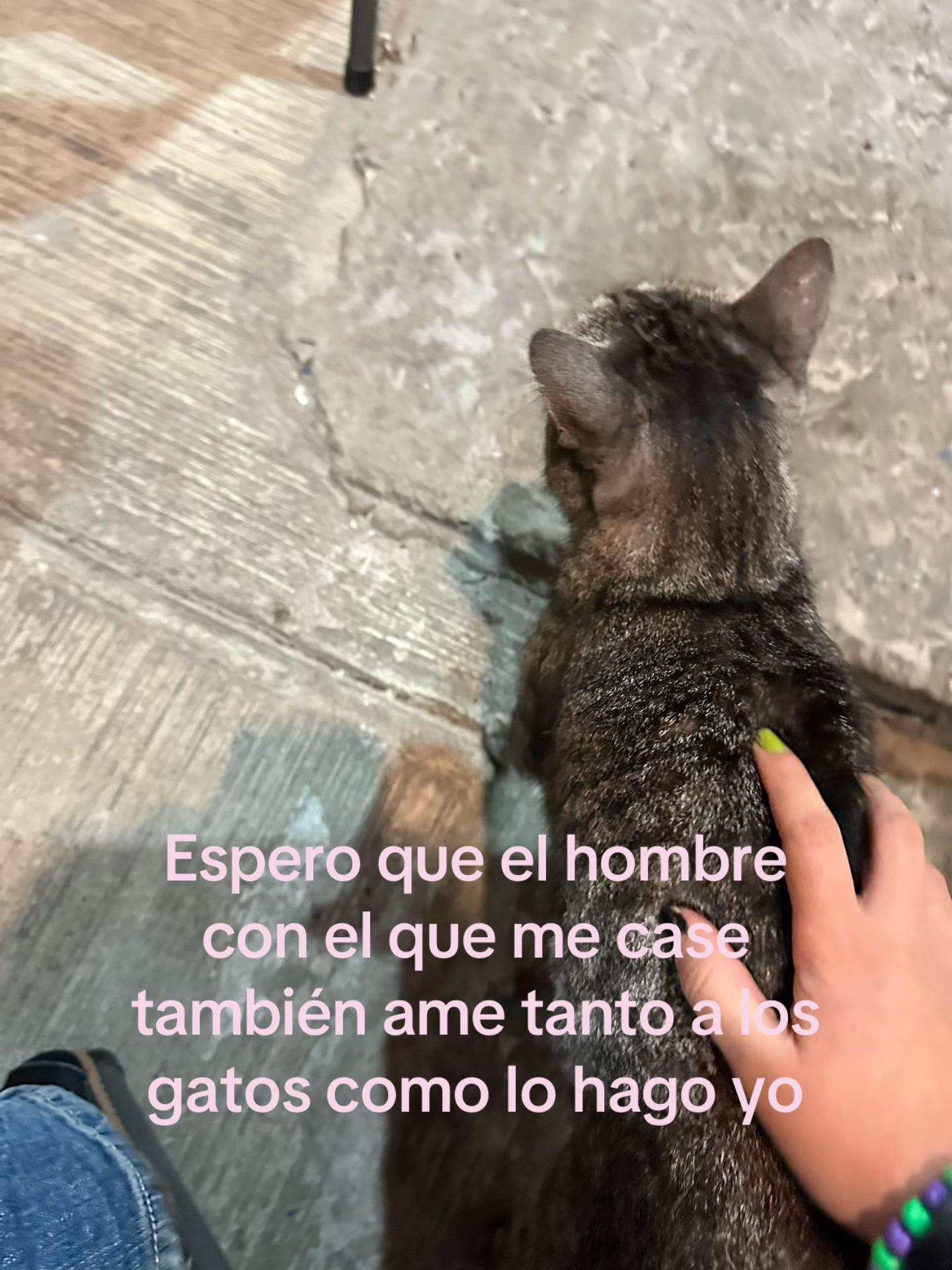 @natetasmicabron_
