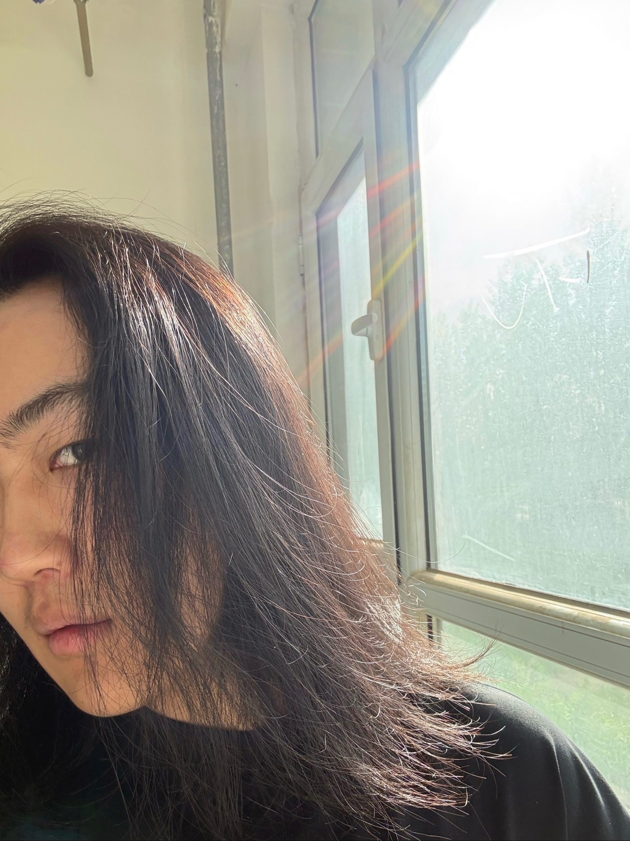 @自由貓