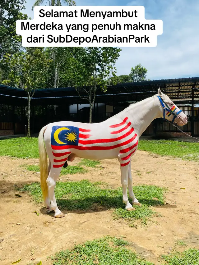 @Subdepo Arabian Park