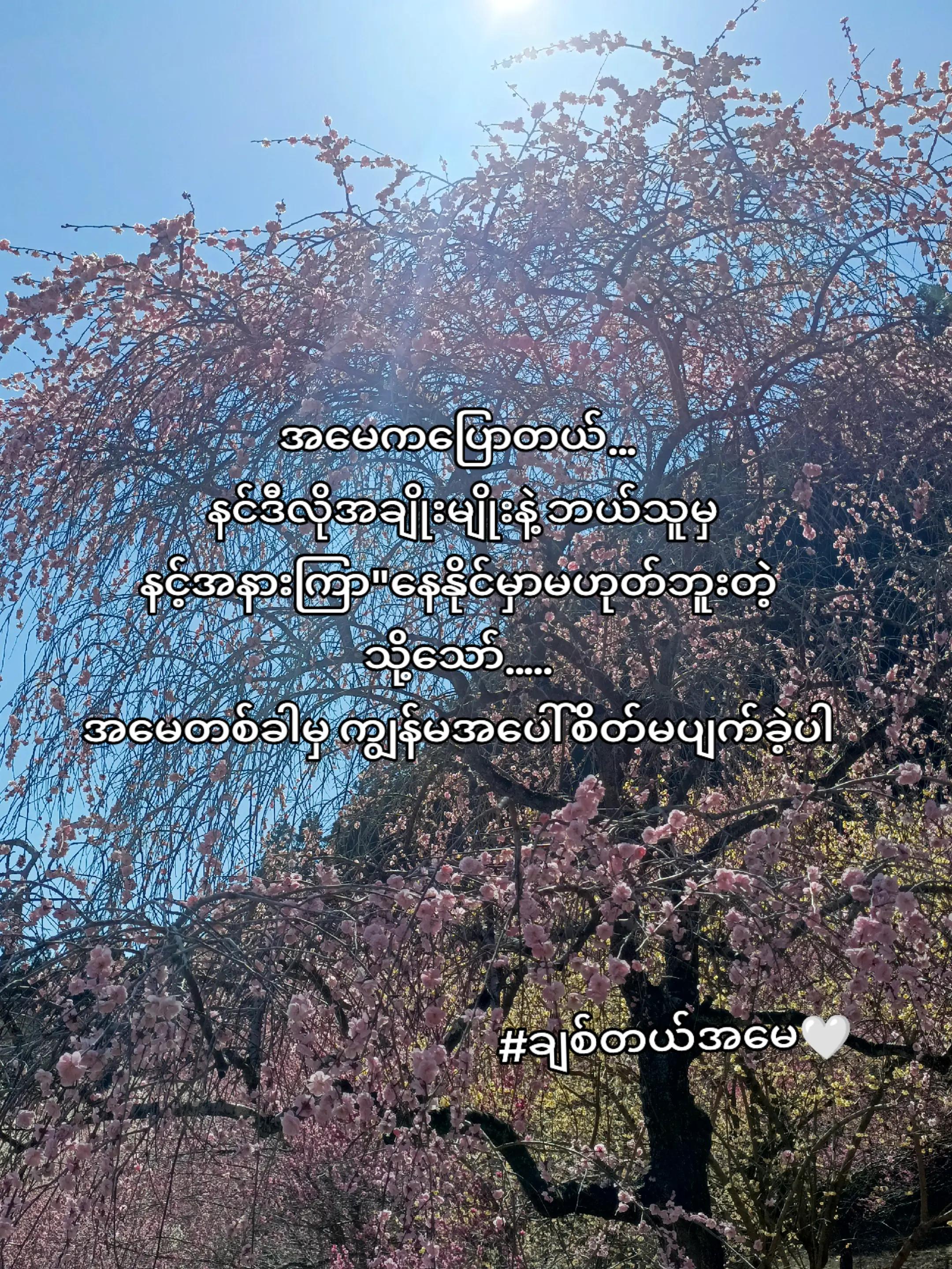 @PAN EI PHYU