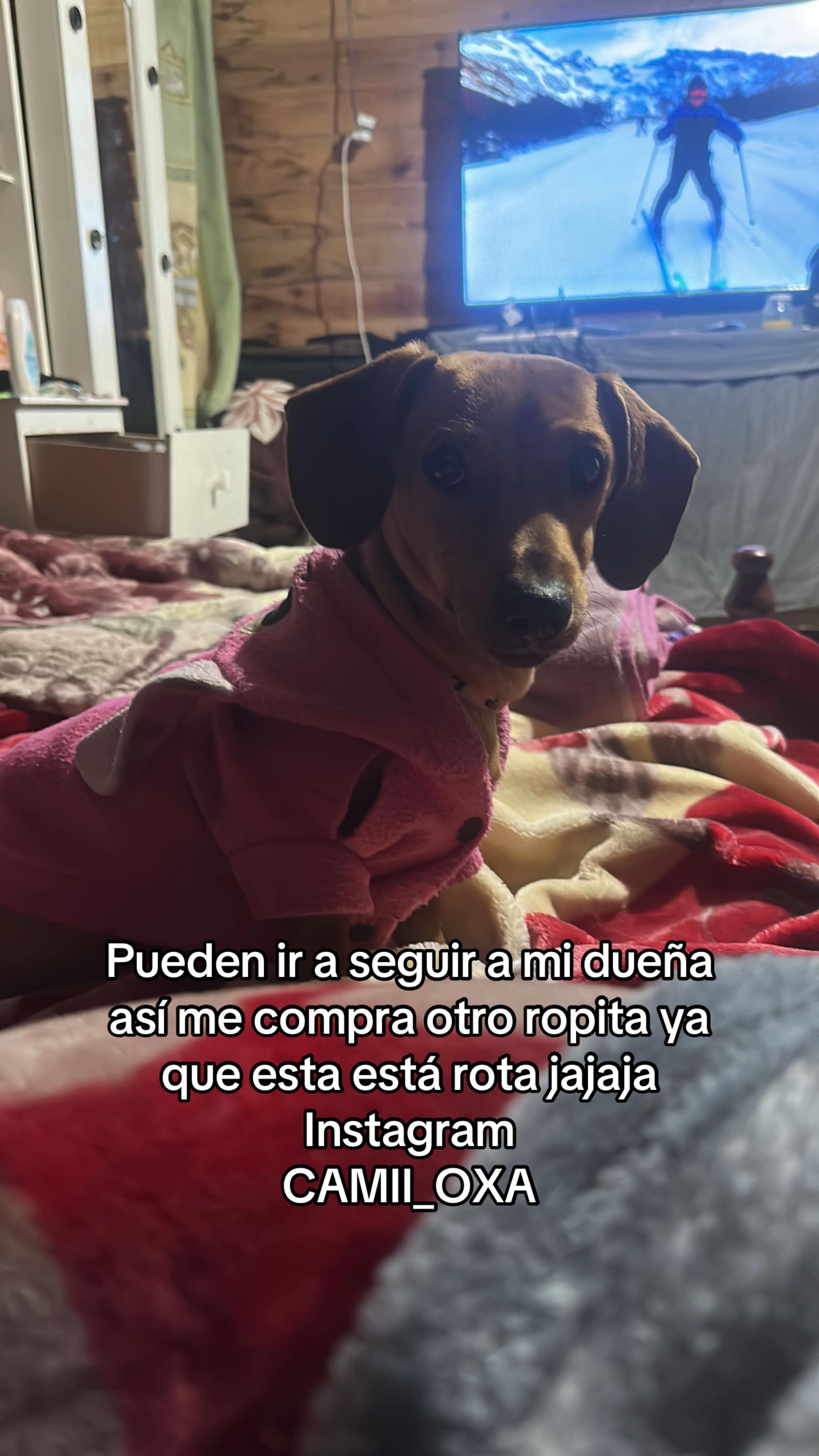 @_🧸_oxa