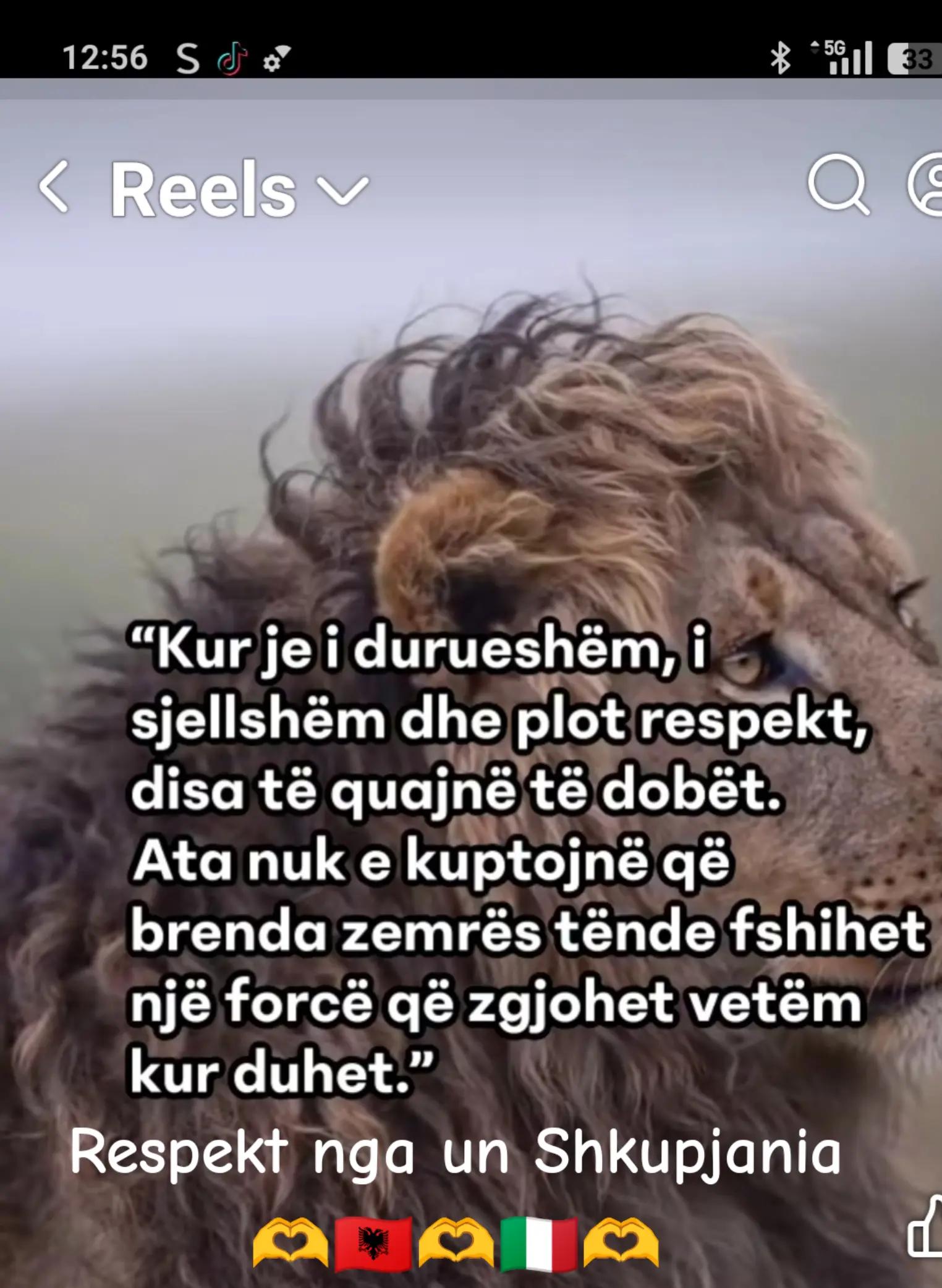 @Shkupjane🫶🇦🇱🫶🇮🇹🫶