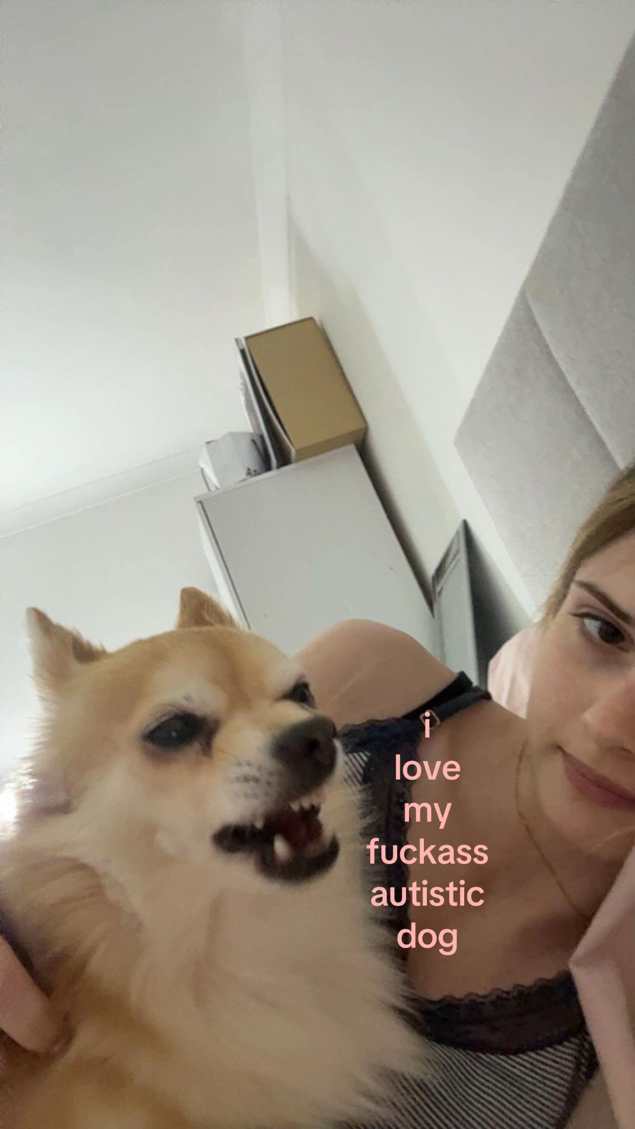 @ś