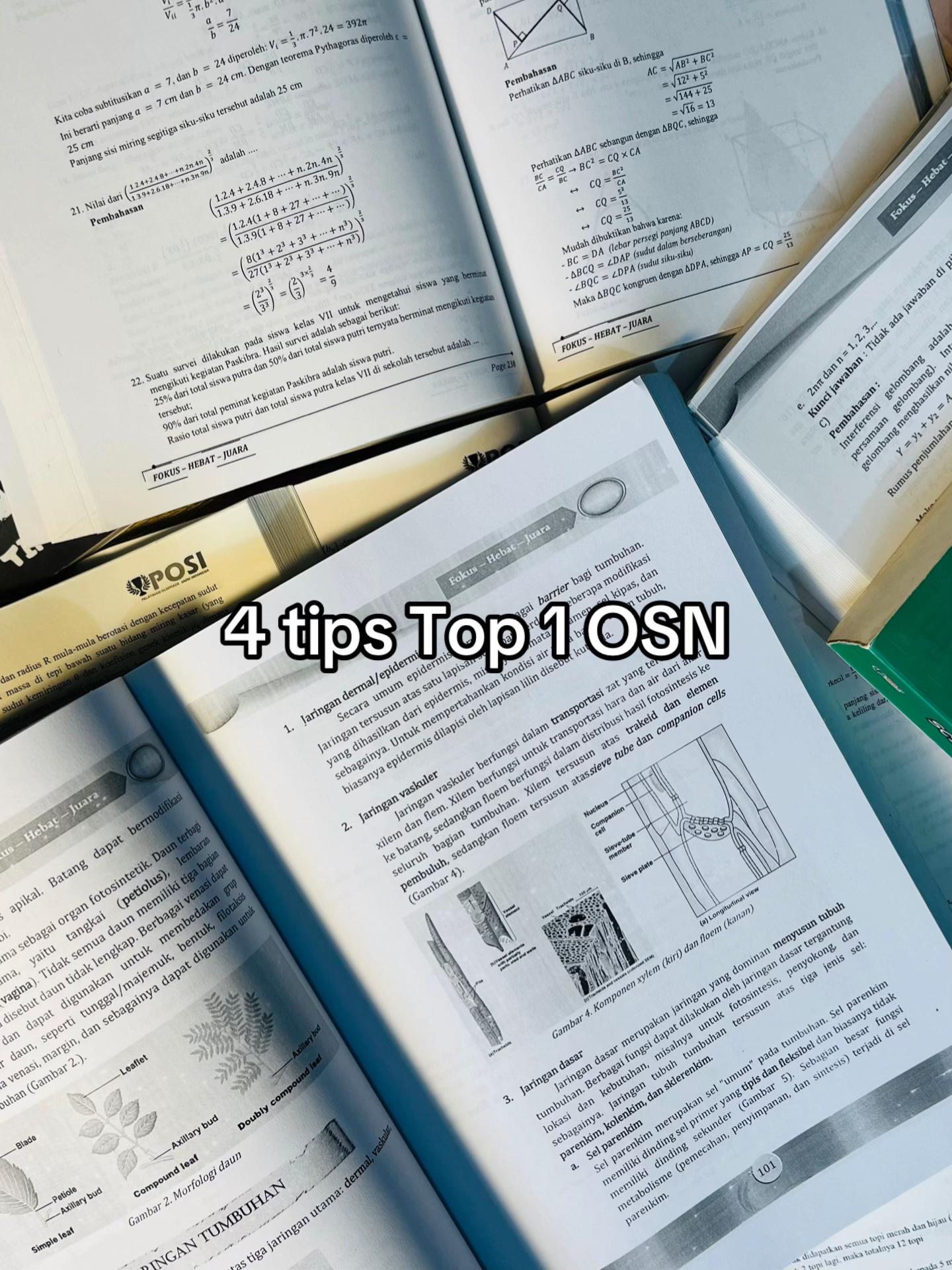 @posi idn