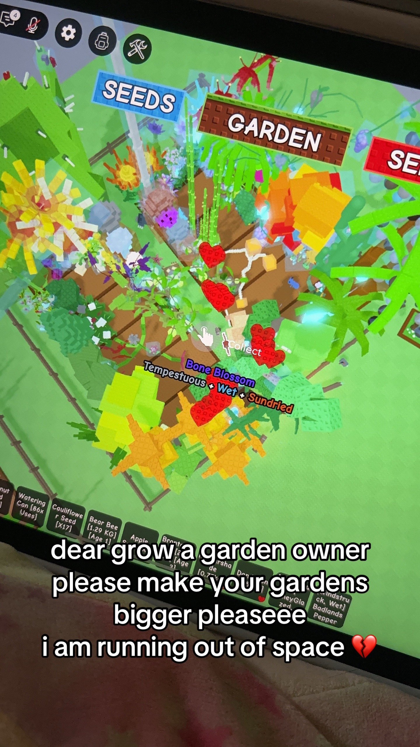 @Roblox