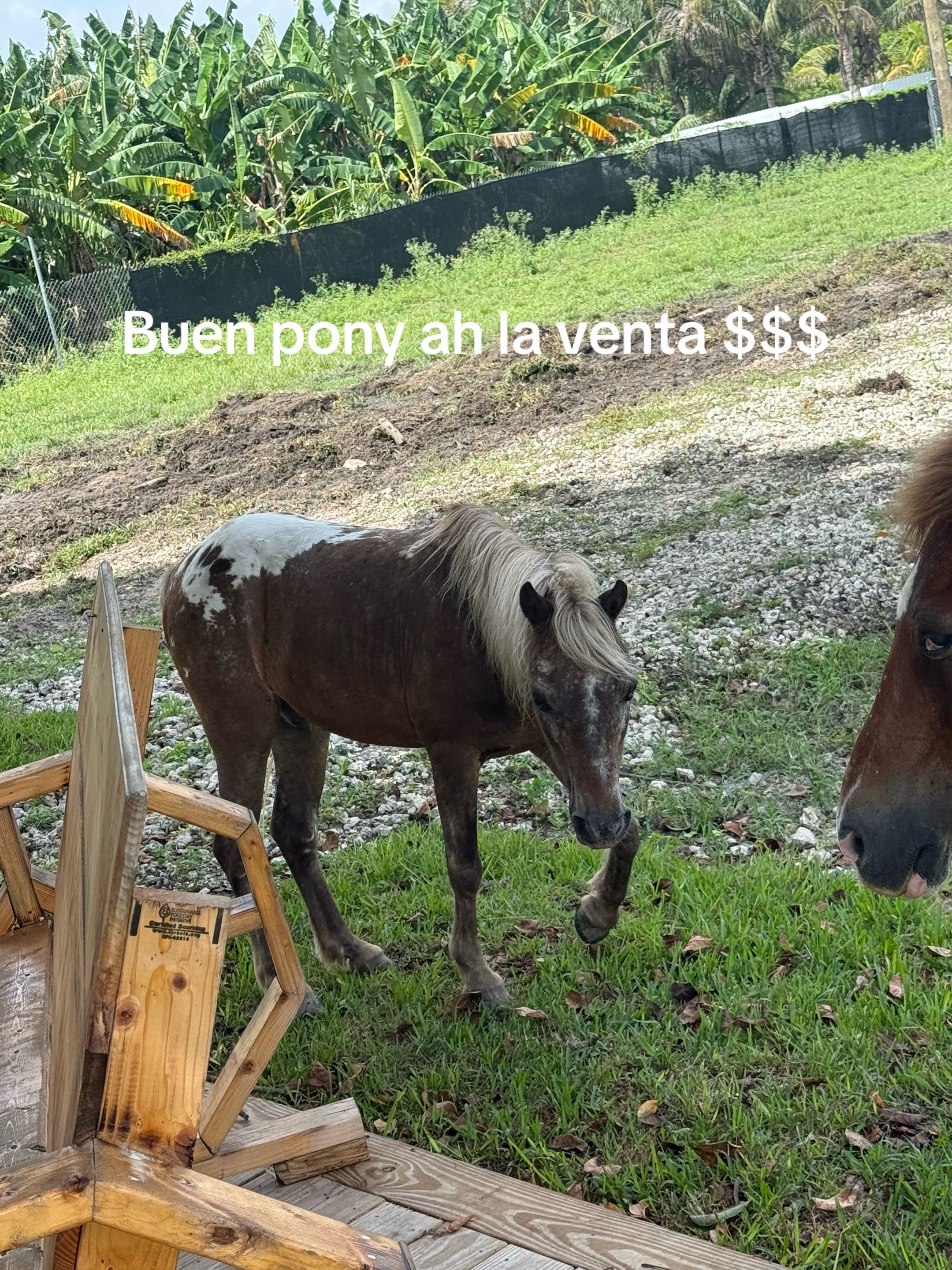 @Anthonybarril