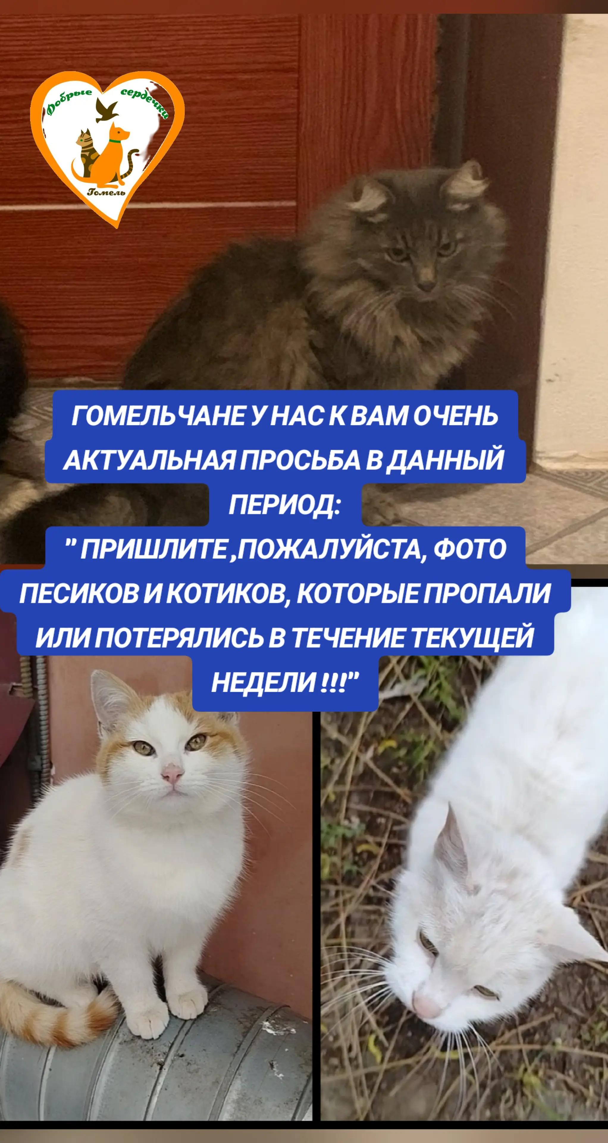 @Марина