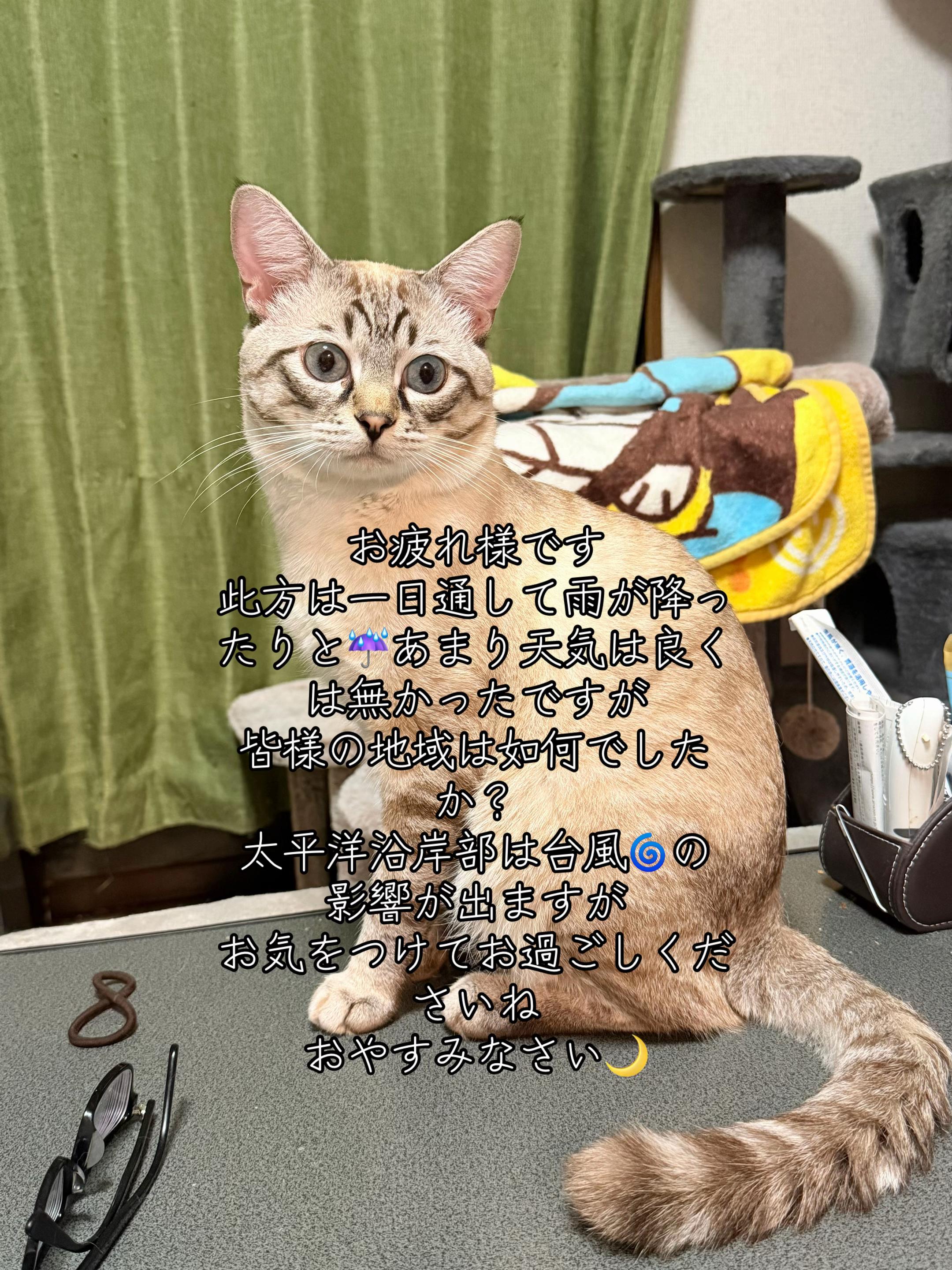 @ð¥é»æŸ€æ£å¿ð¥