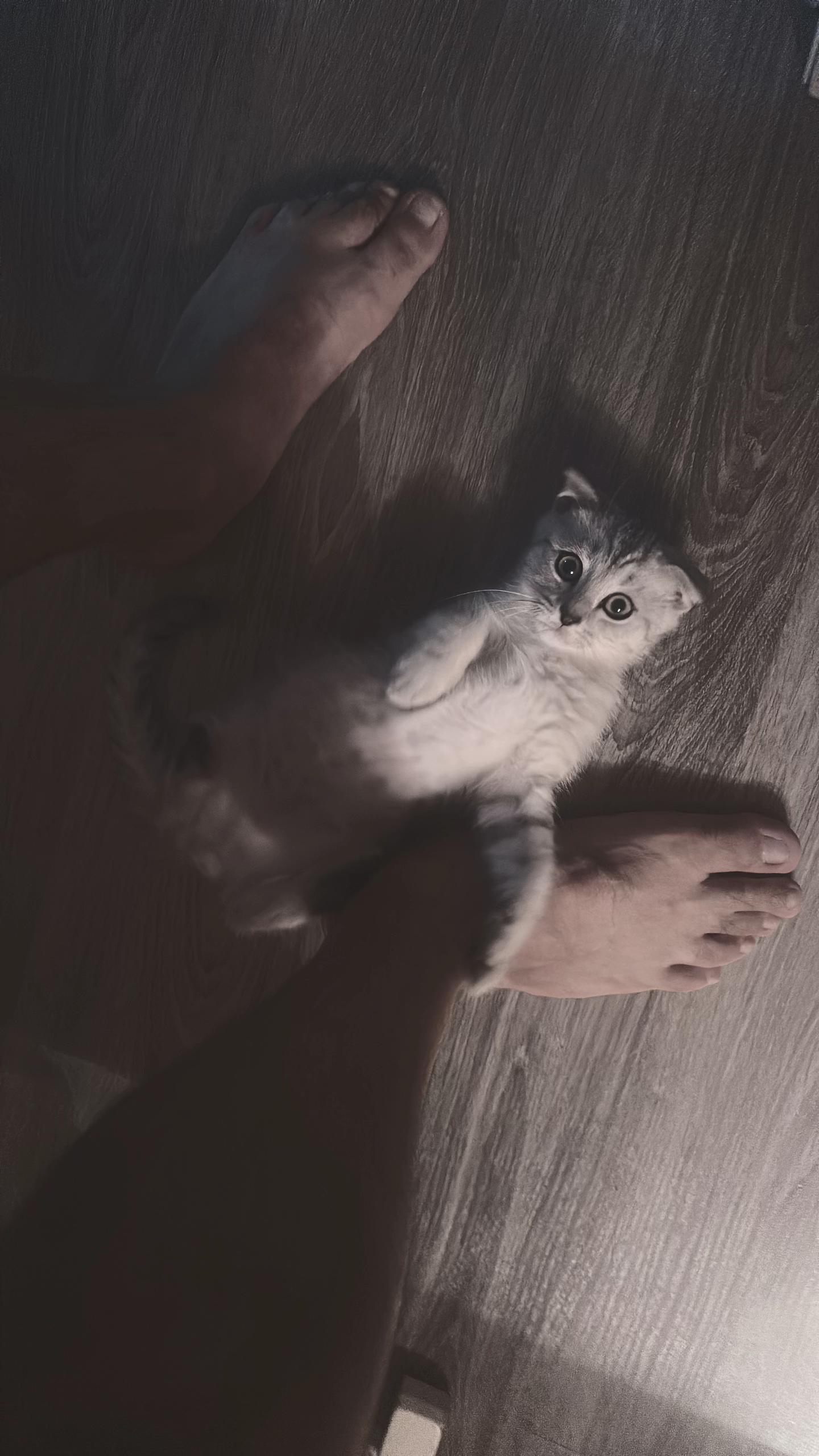 @🖤BAKILI 🖤