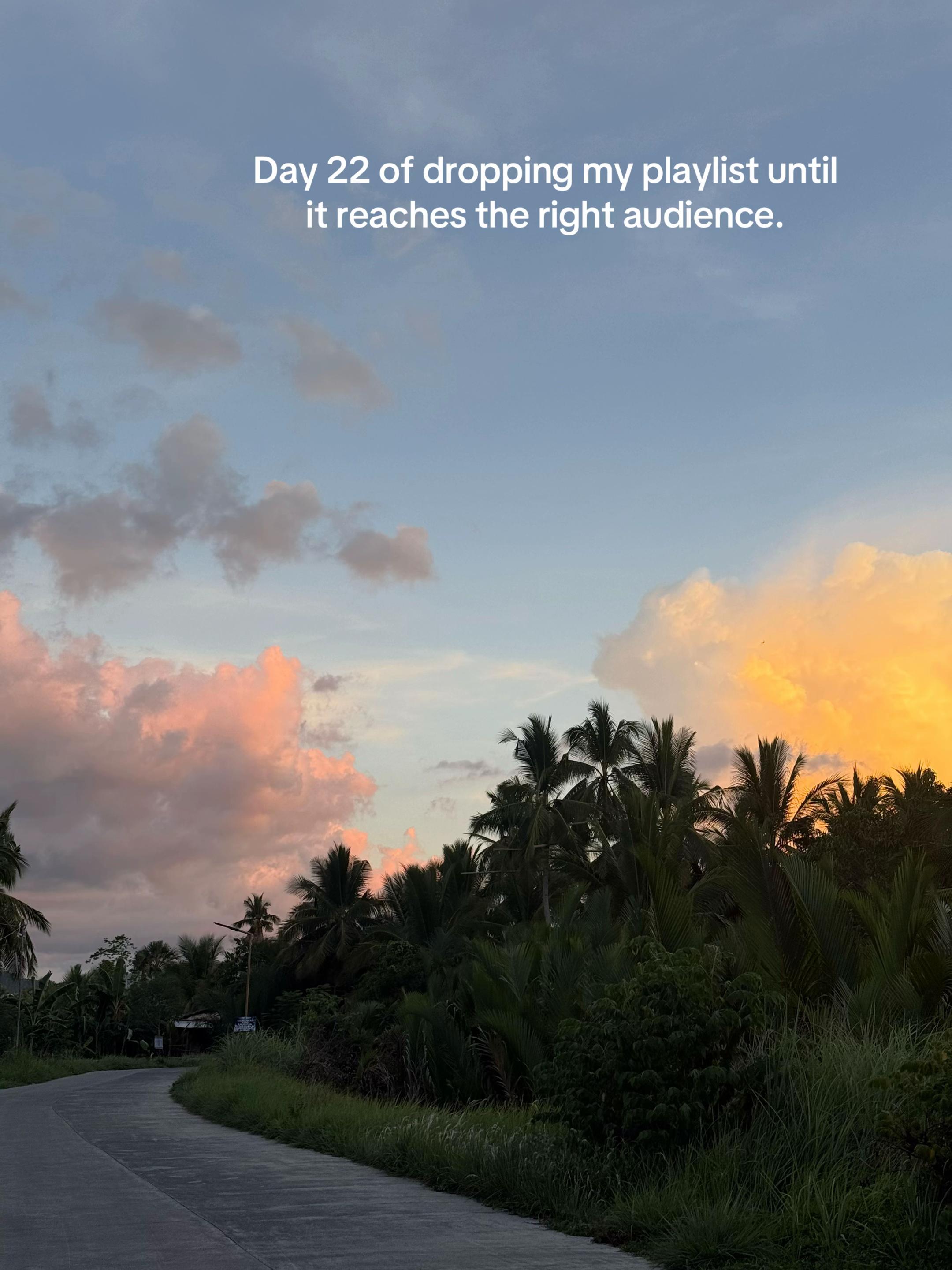 @mjarela18