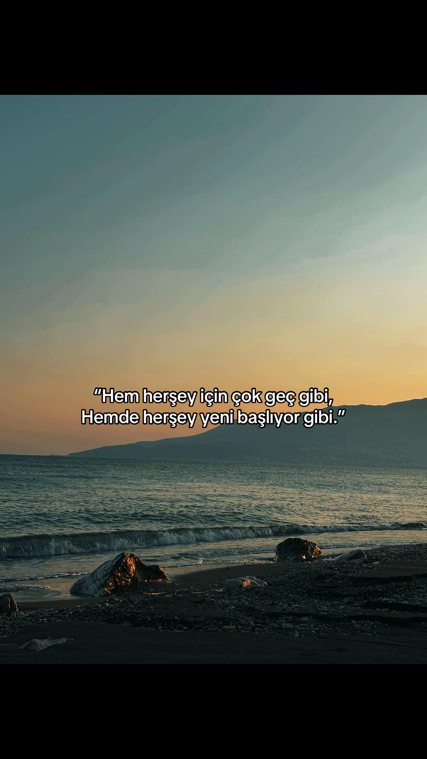 @Sinan🐊