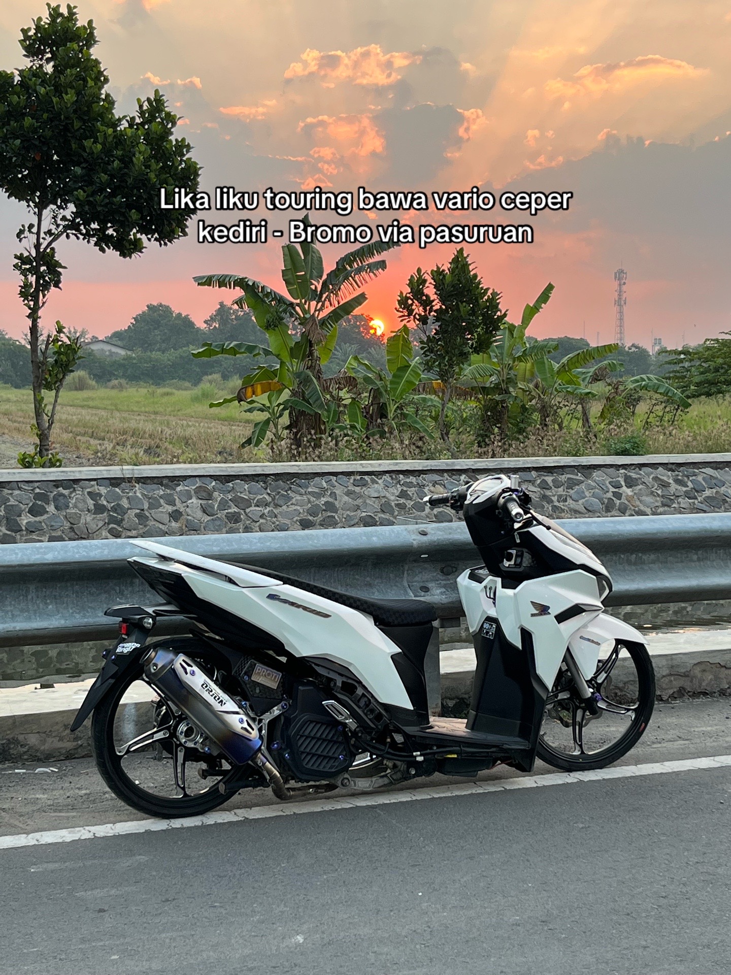 @YangPutihPutihAja⁵⁰⁵