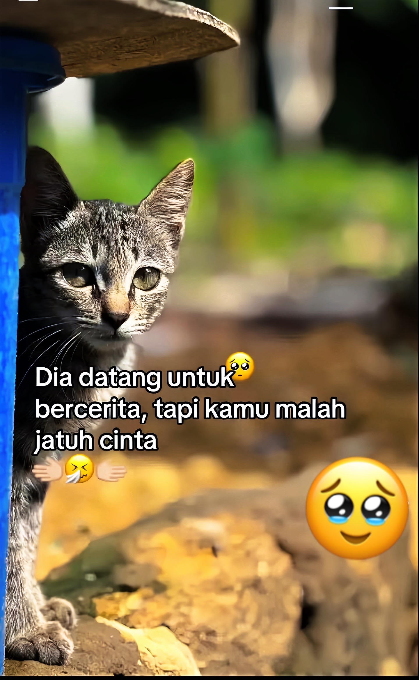 @Afriza