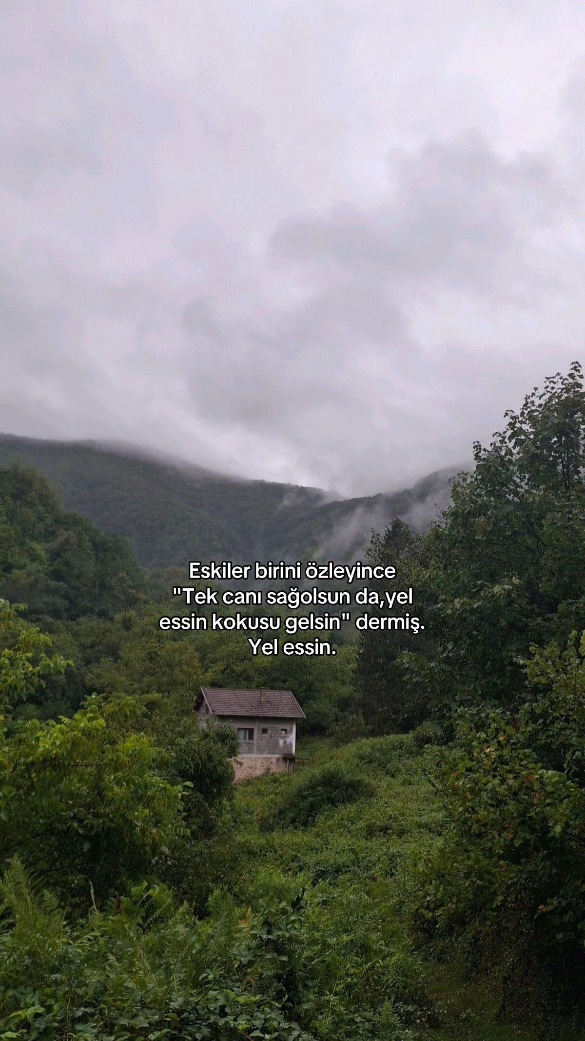 @𝑴𝒂𝒓𝒂𝒍