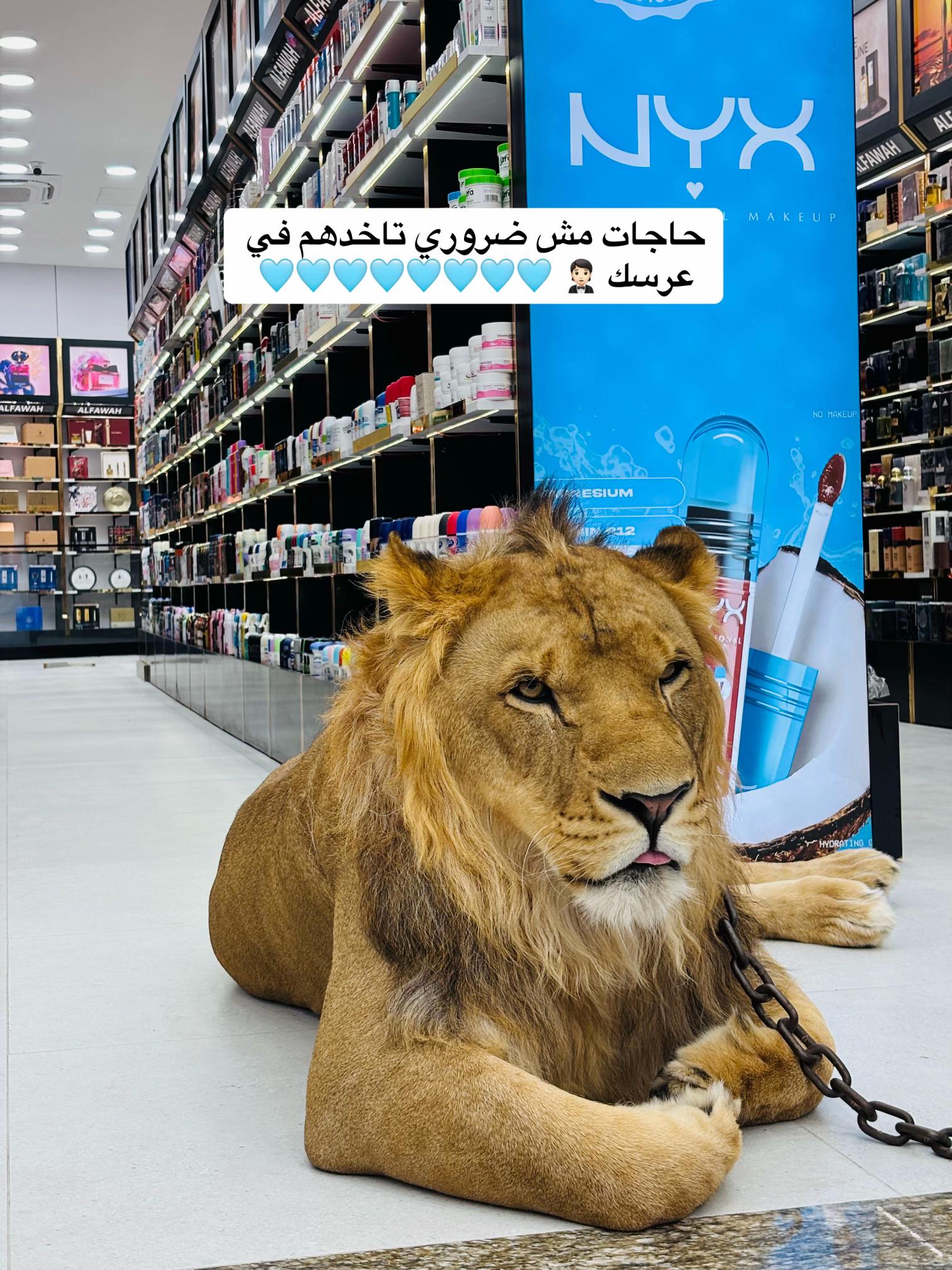 @الفواح /طرابلس