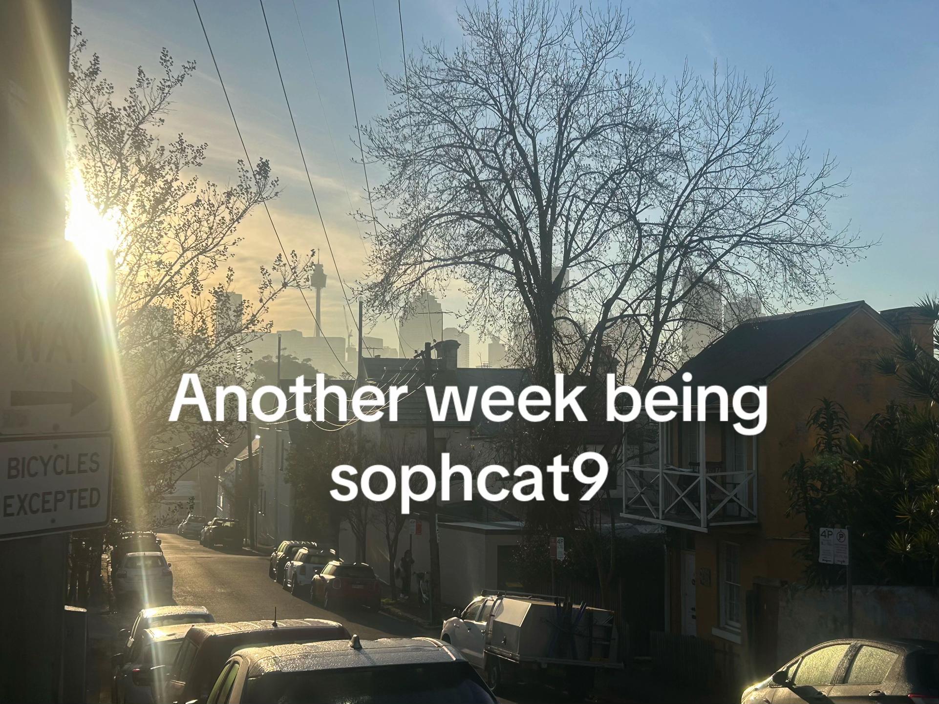 @sophie garland