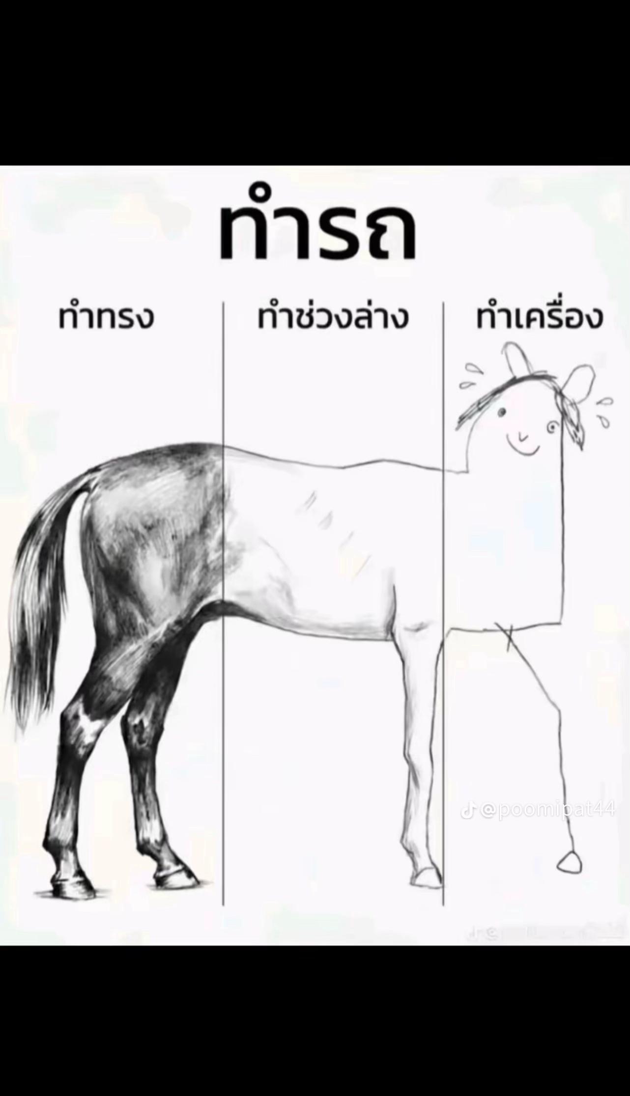 @ไอ้พีขับอัลติสรับถ่ายโรลิ่งอ่ะ