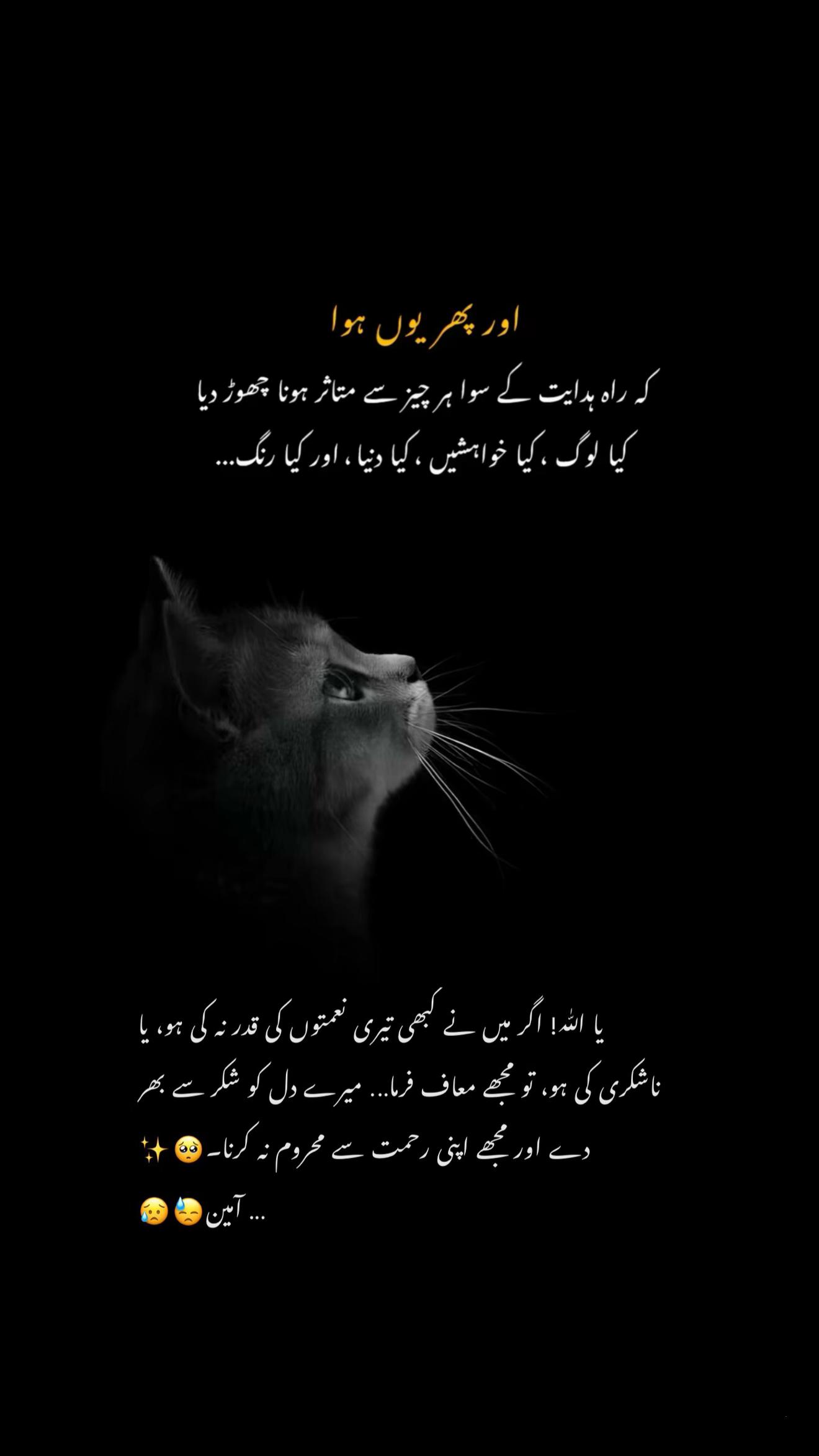 @Noor