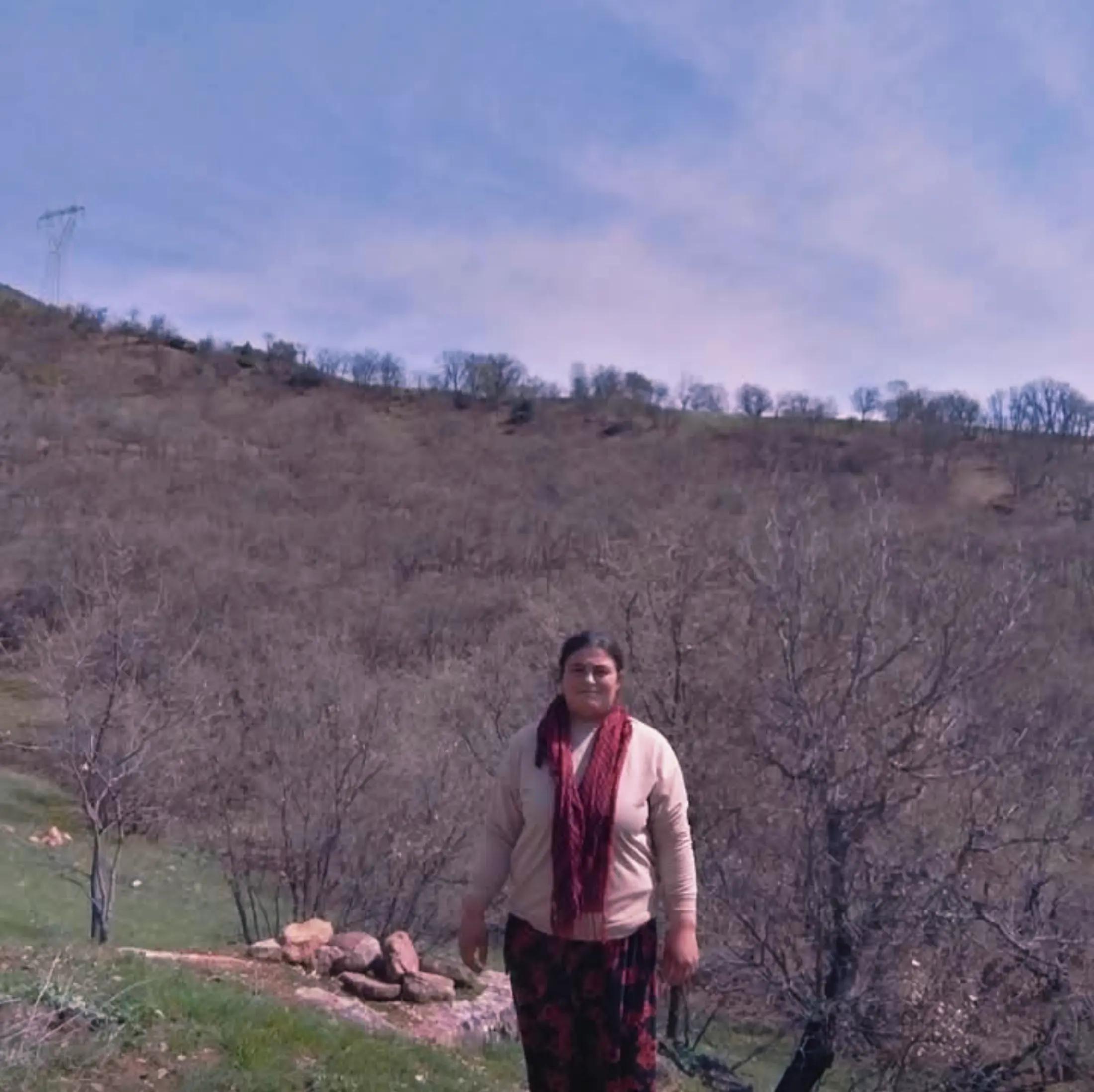 @Dilan Kur