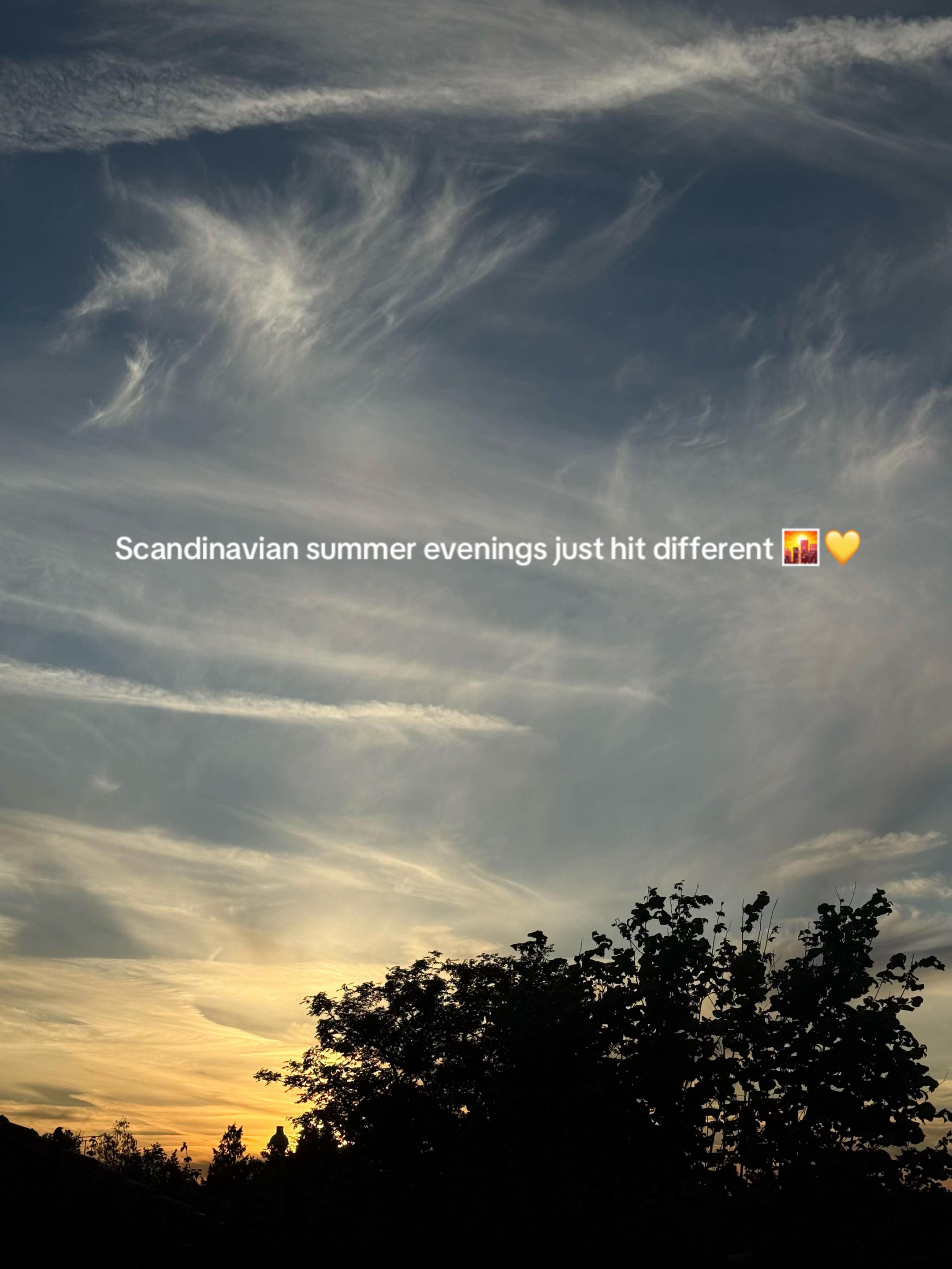 @Michelle ♡☀️🐳