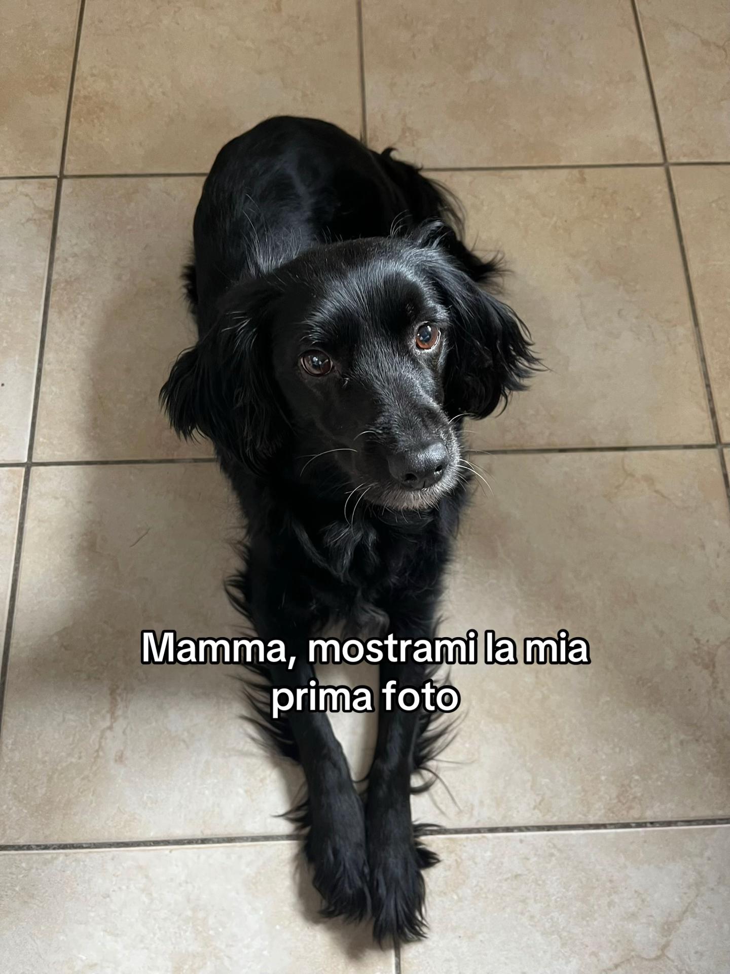@Kelly Marku