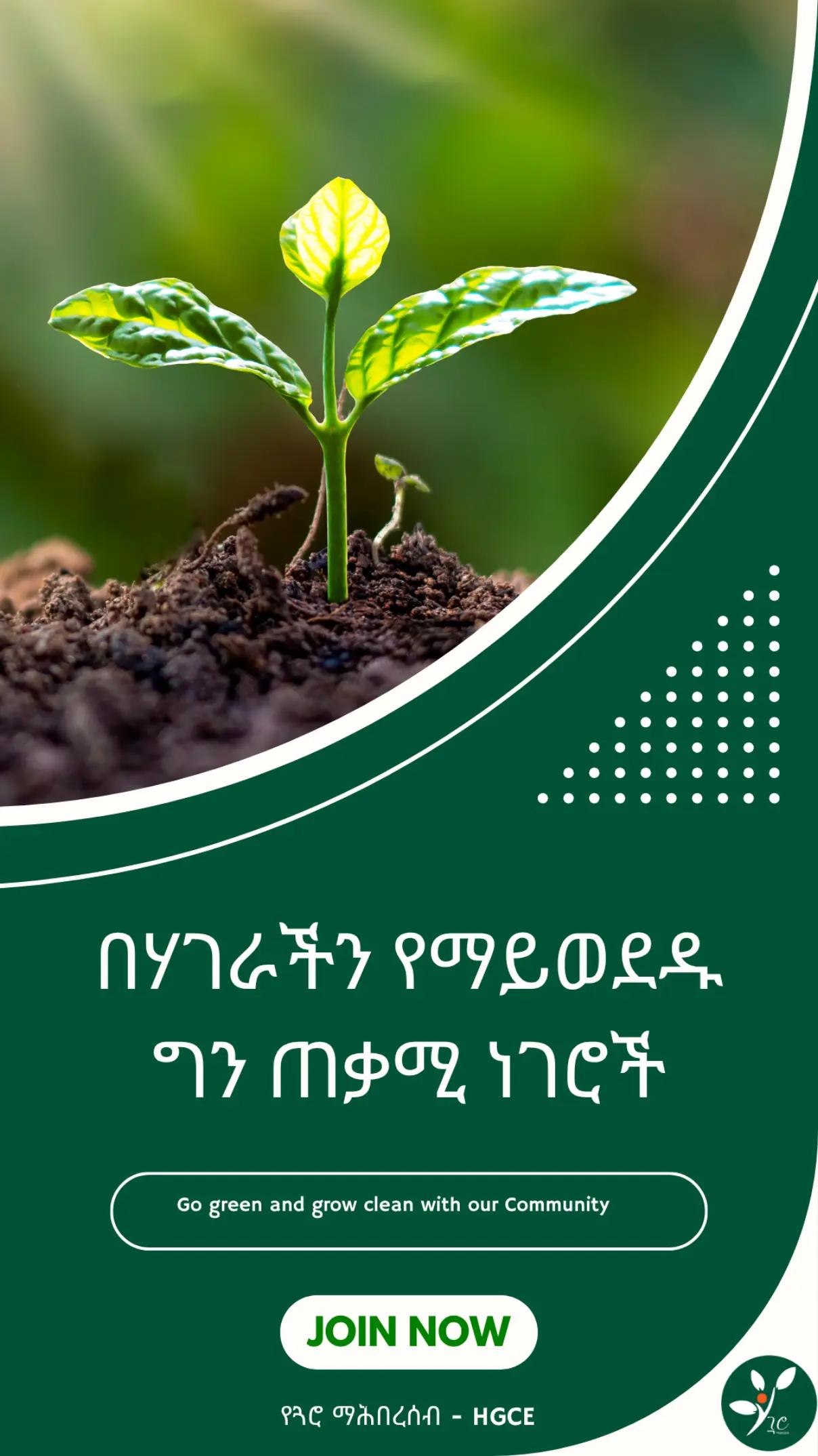 @የጓሮ ማሕበረሰብ-GARDENING COMMUNITY