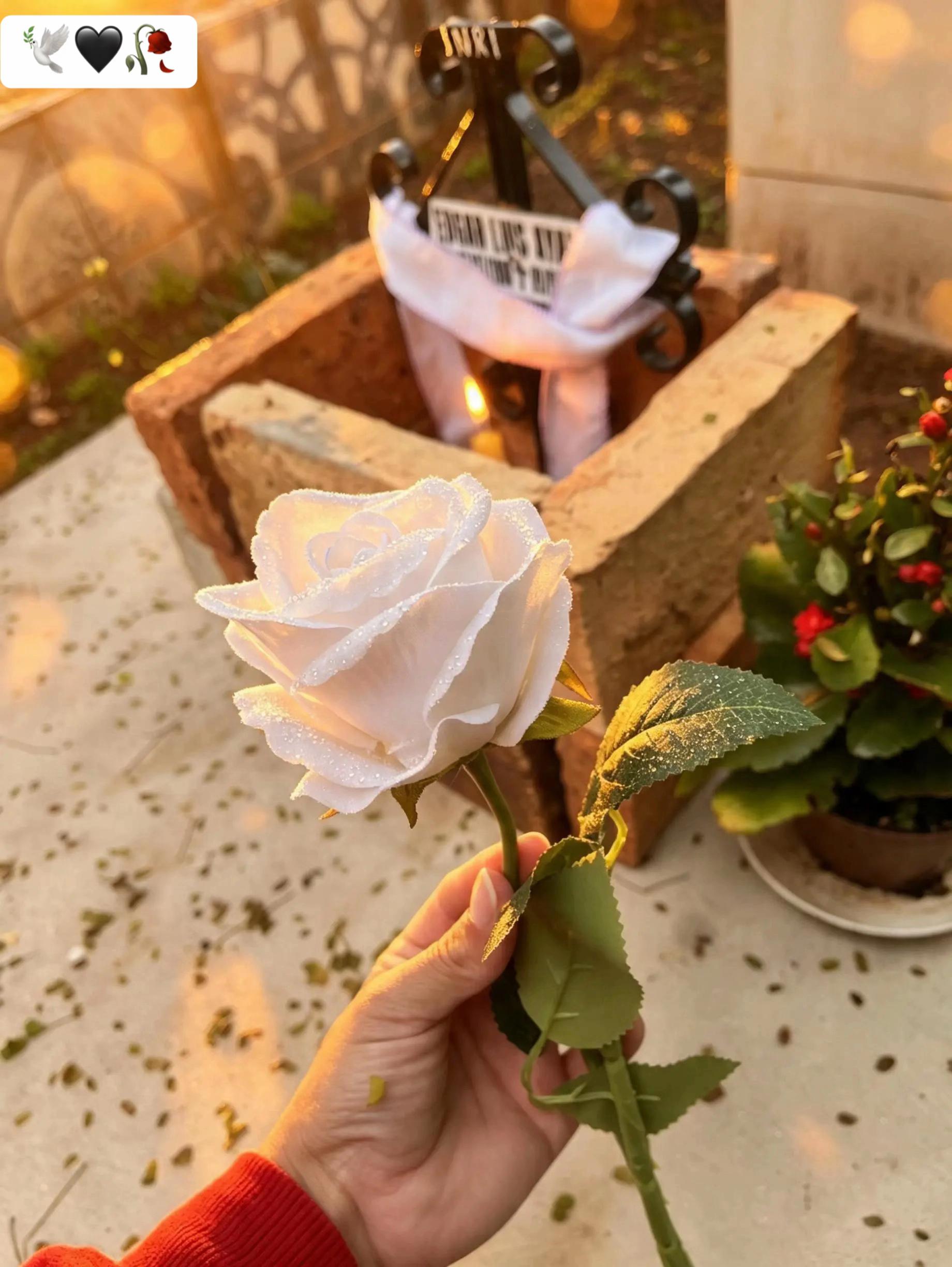@Liilianga05🧔🏻&zwj;♂️🕊️💔