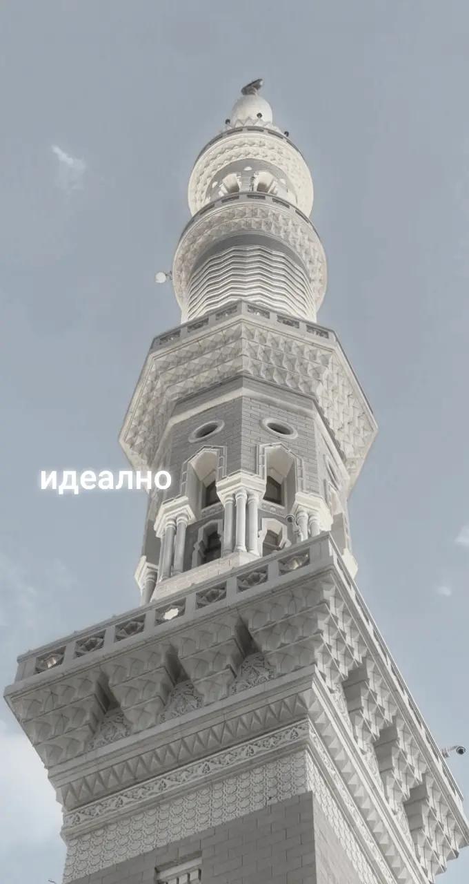 @~🇵🇸❤️🩹فاتح🕋🕌~