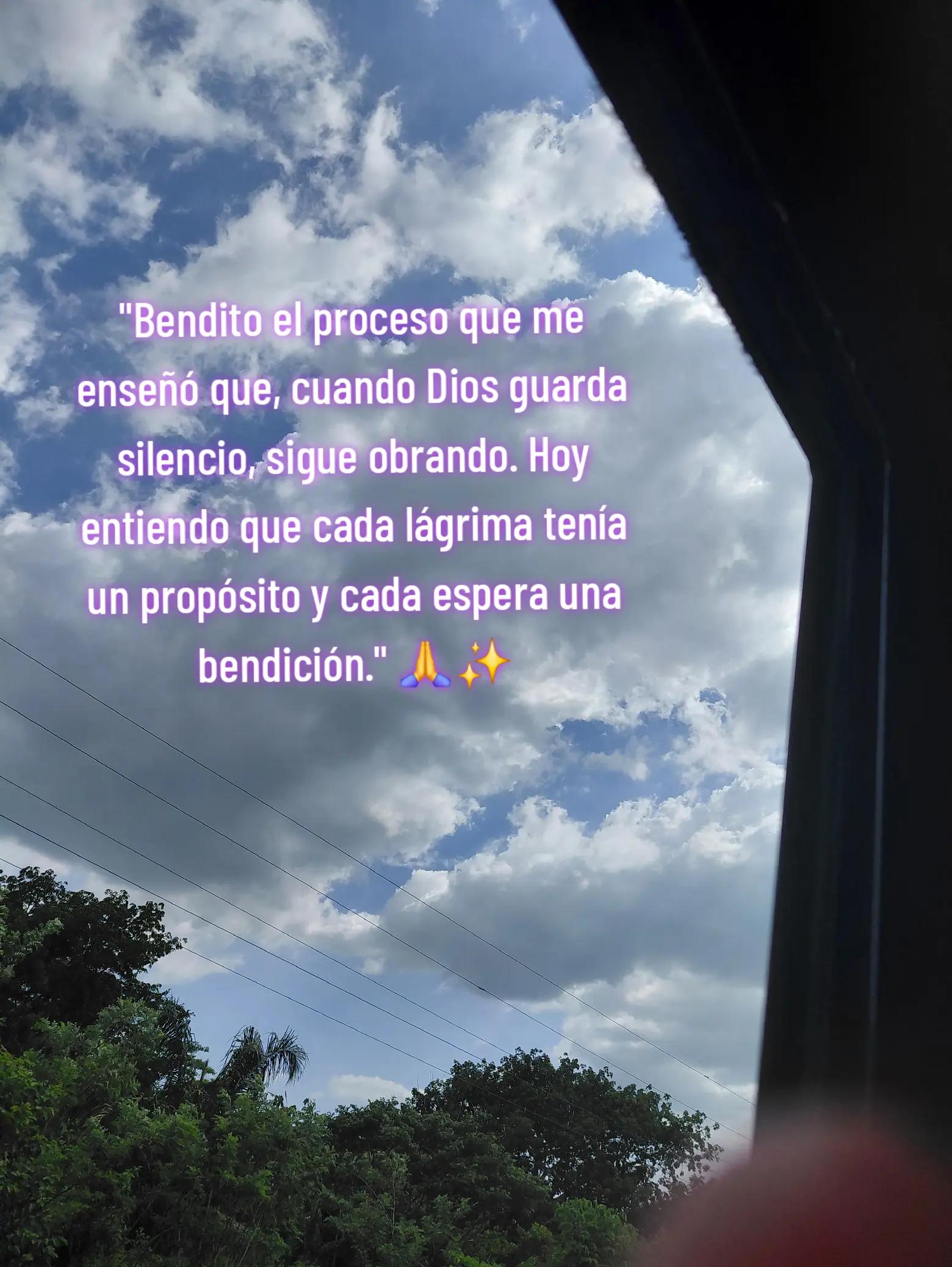 @Patricia Berdugo